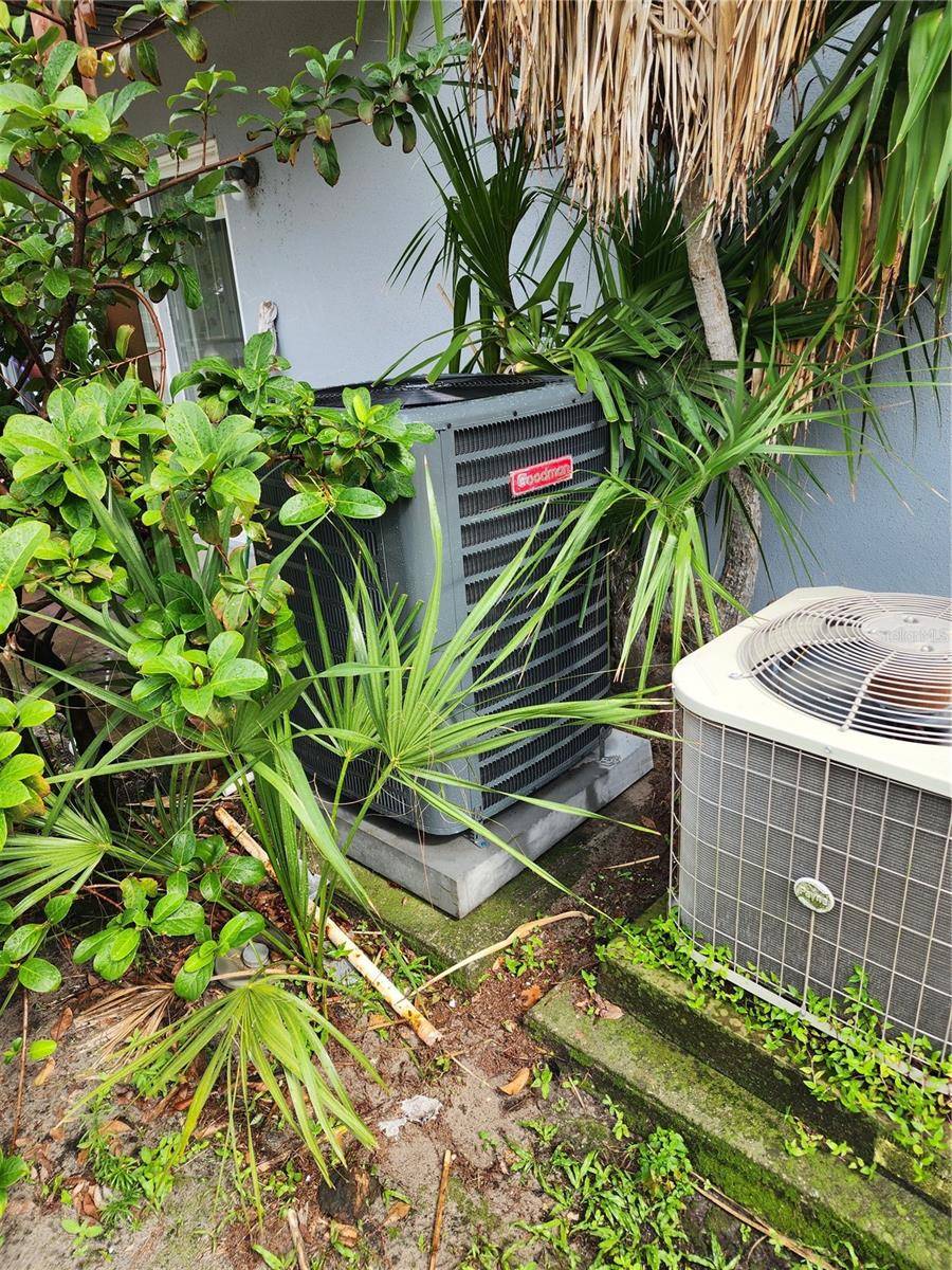 5310 WHITEWAY DR #5310, Temple Terrace, FL 33617