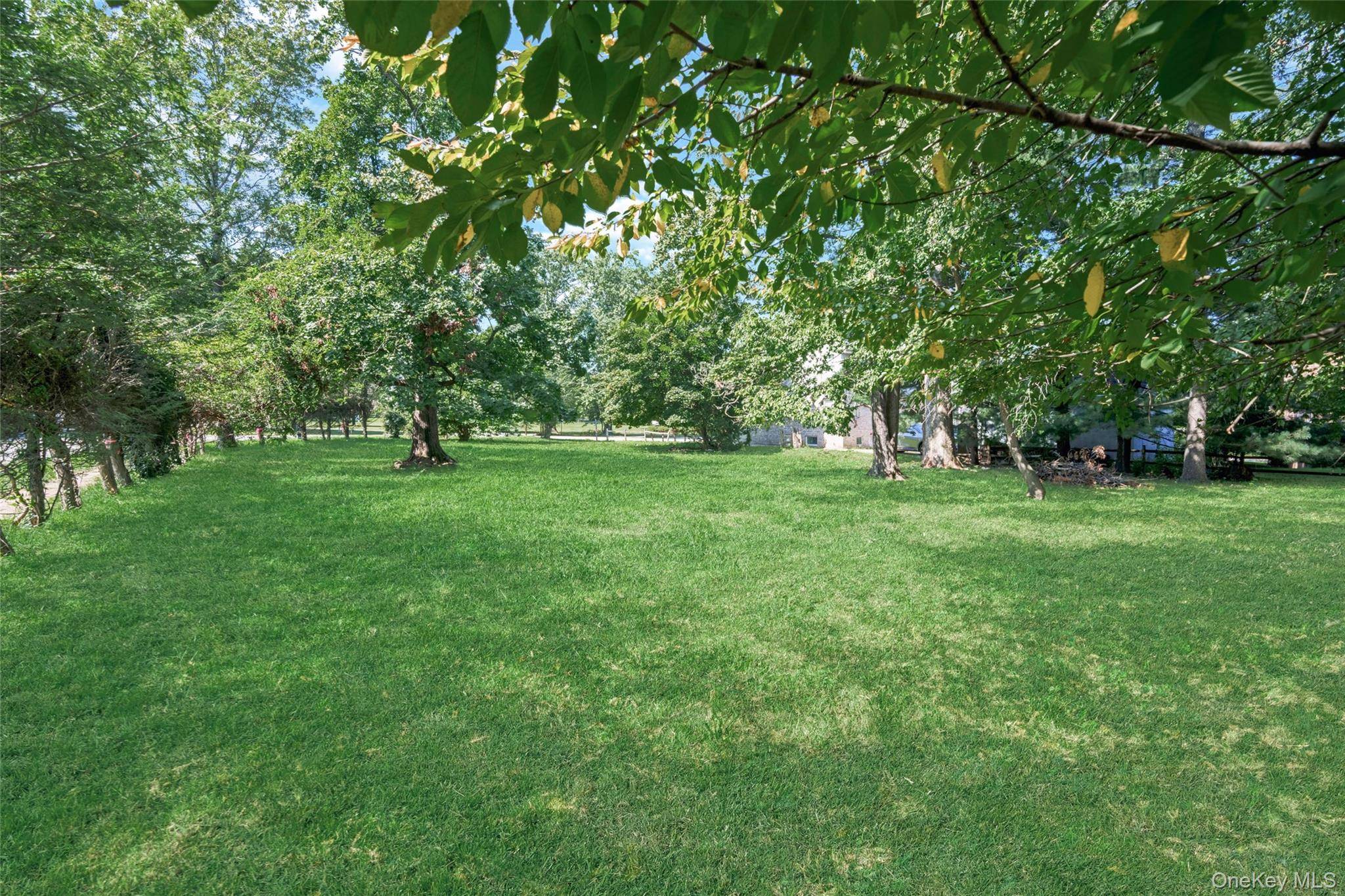 Orchard off Manhattan Manhattan, New Rochelle, NY 10801