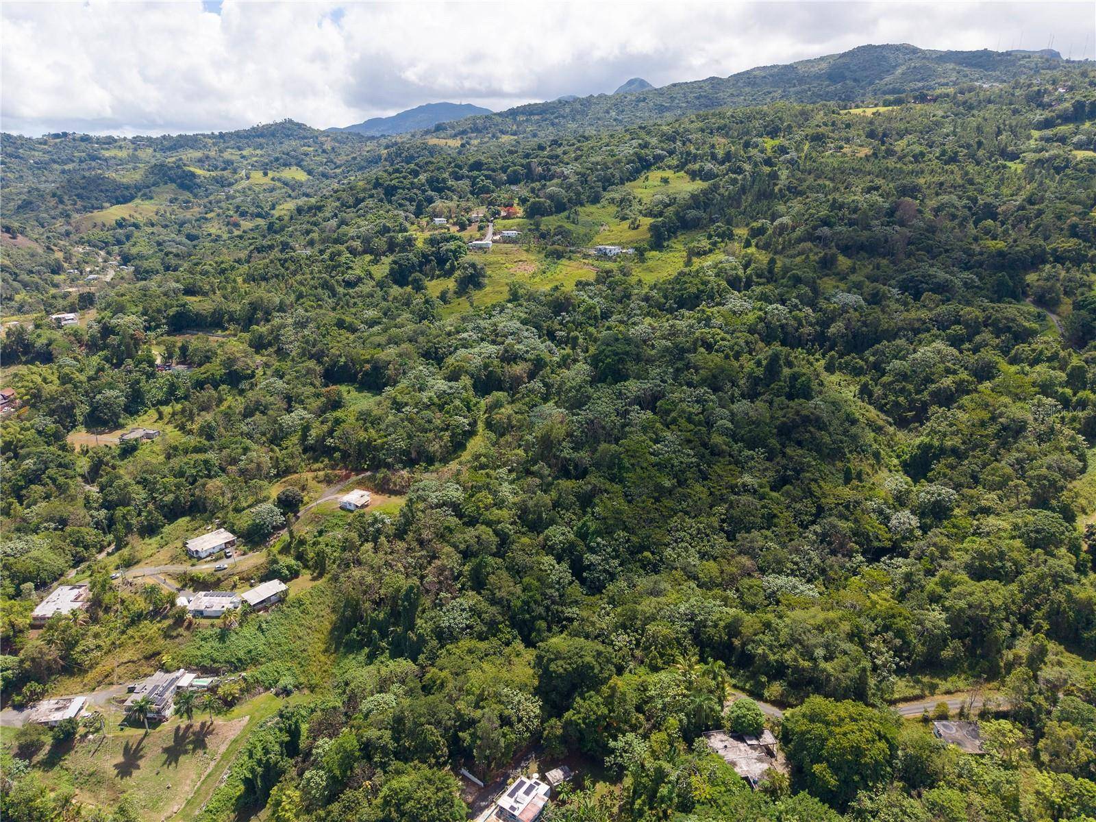 BARRIO CUBUY, Canovanas, PR 00729