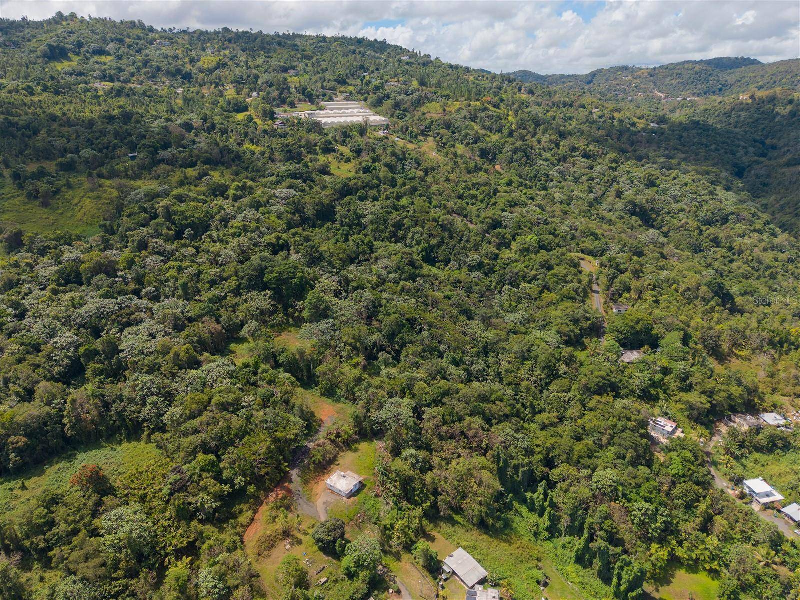 BARRIO CUBUY, Canovanas, PR 00729
