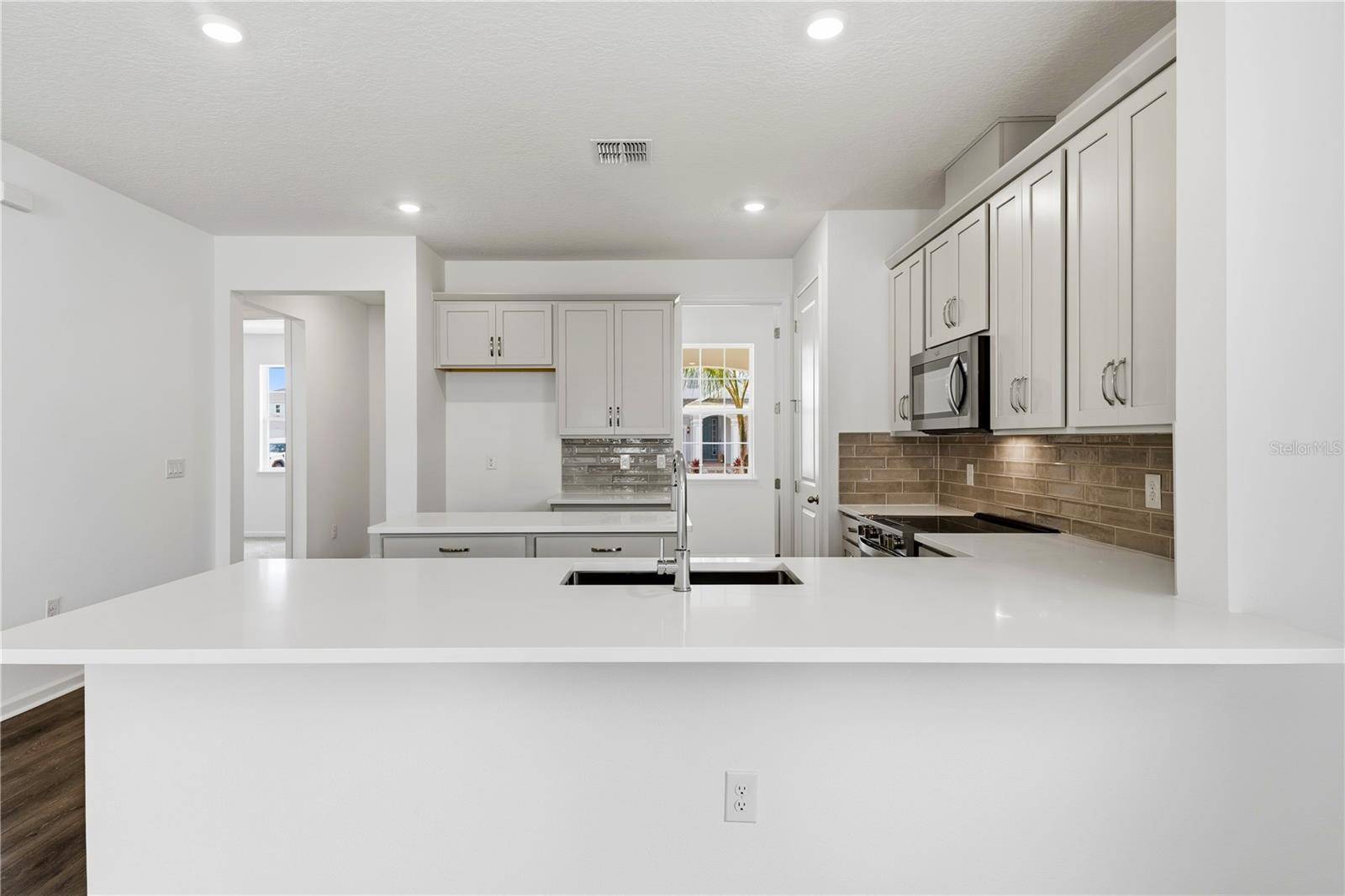 17049 HAGGERTY HOLLOW DR, Winter Garden, FL 34787