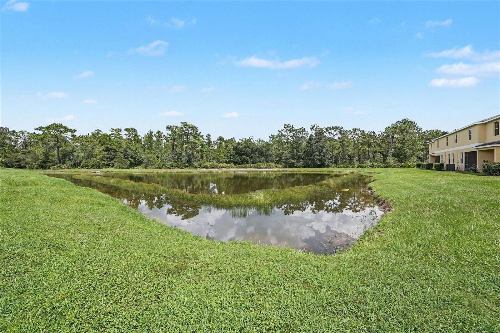 8604 FIDDLELEAF COURT, Tampa, FL 33647
