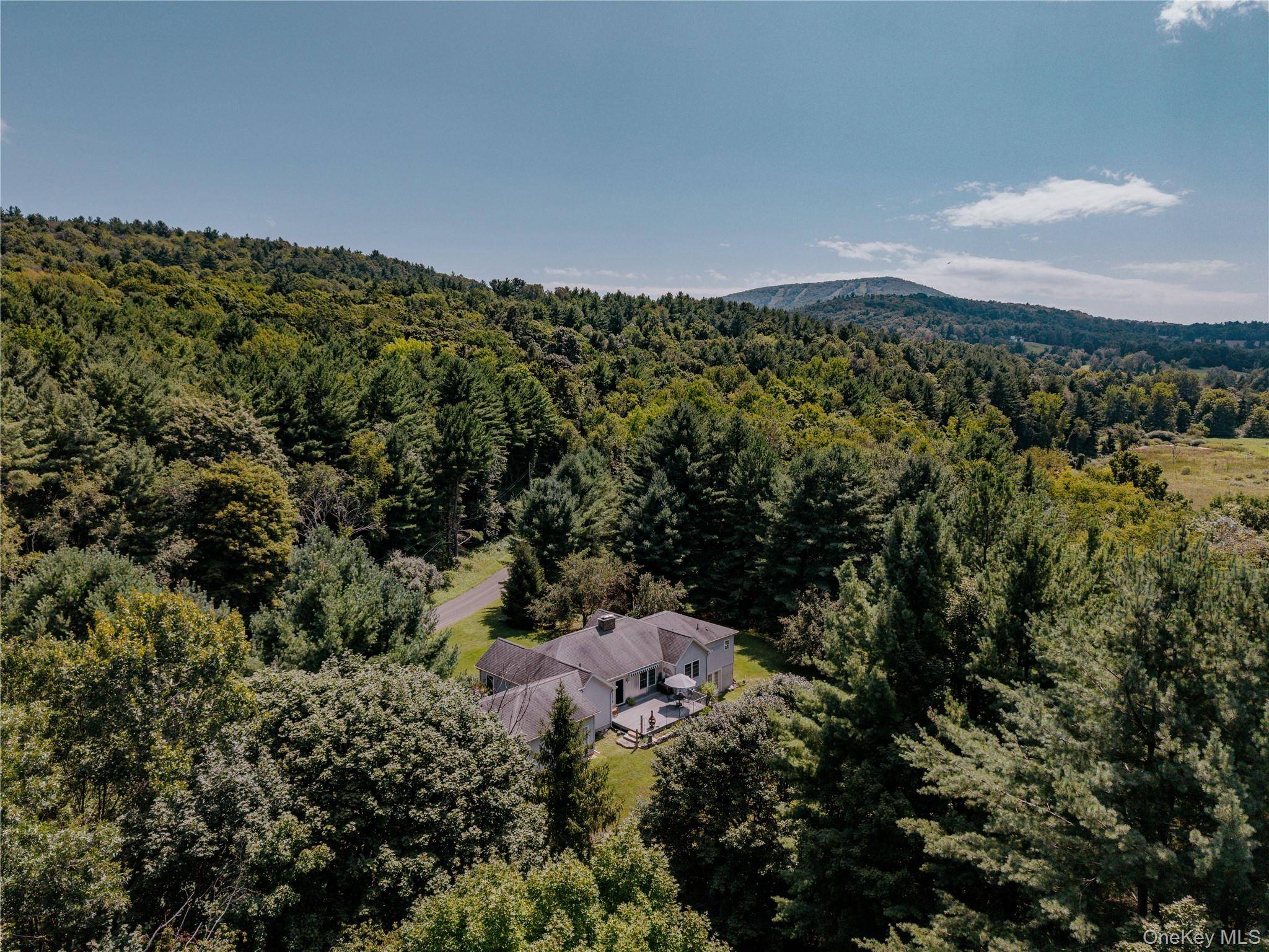 310 Pine Ridge LN, Hillsdale, NY 12529