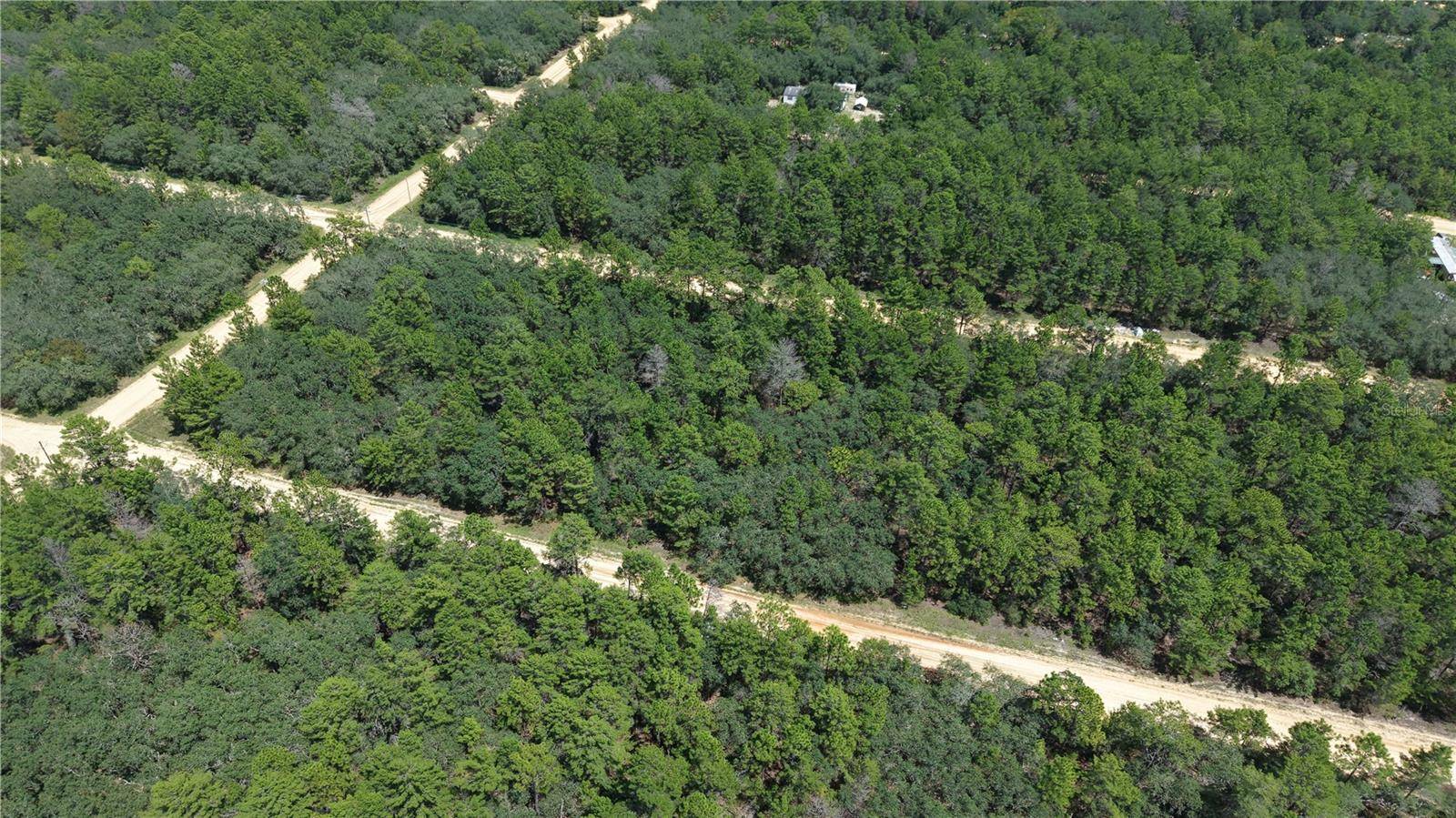 NEILSEN AVE, Interlachen, FL 32148