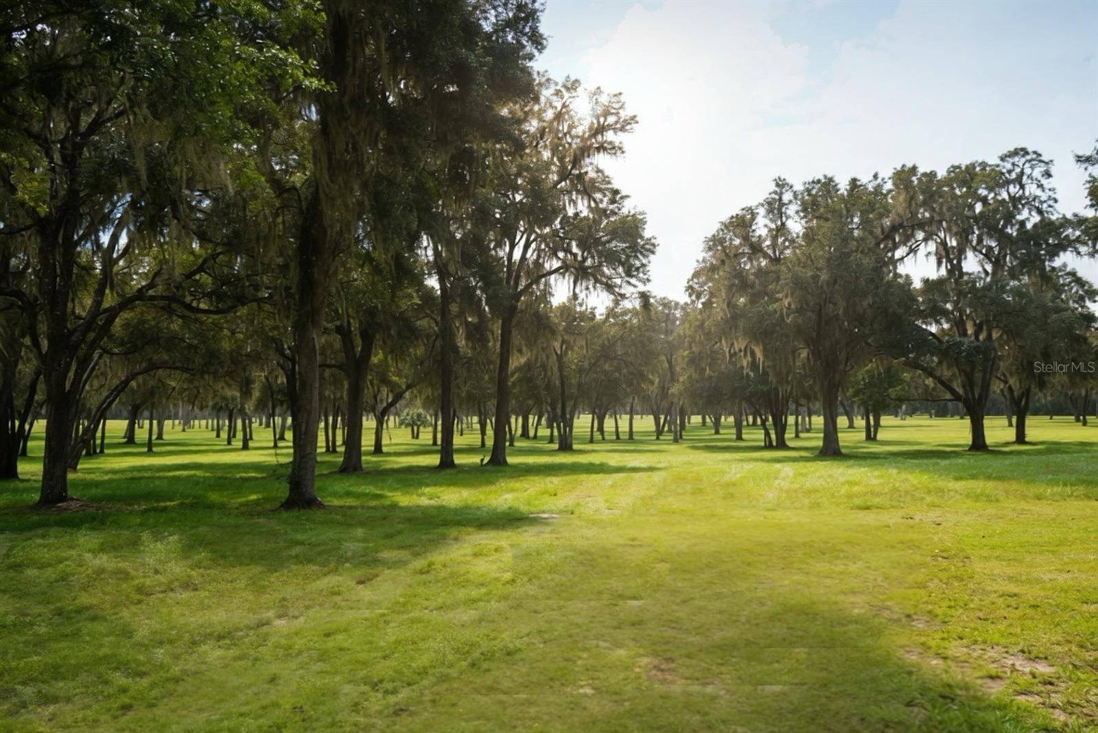 160TH, Reddick, FL 32686
