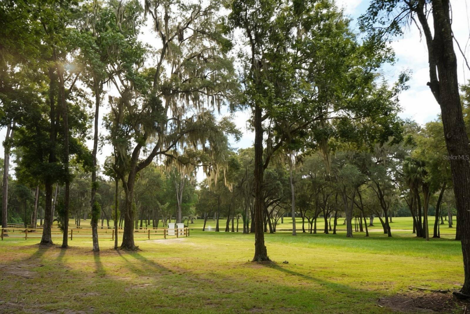 160TH, Reddick, FL 32686