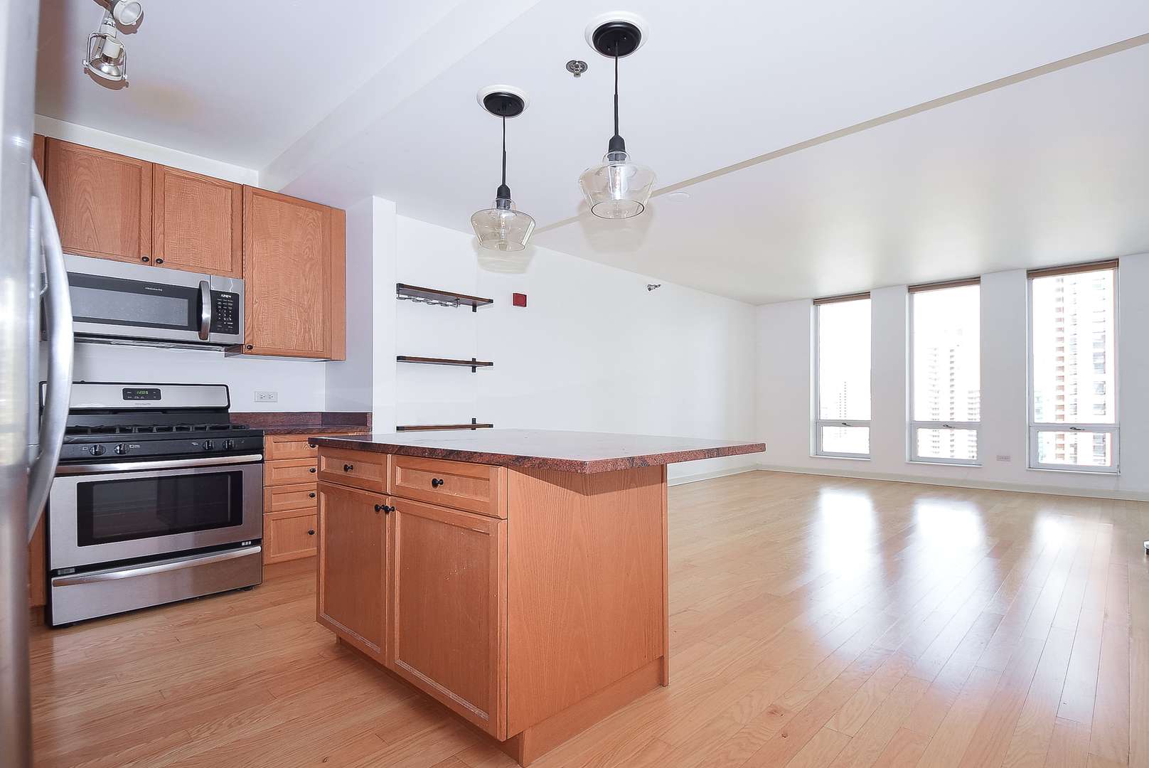 1250 S Michigan AVE #2205, Chicago, IL 60605