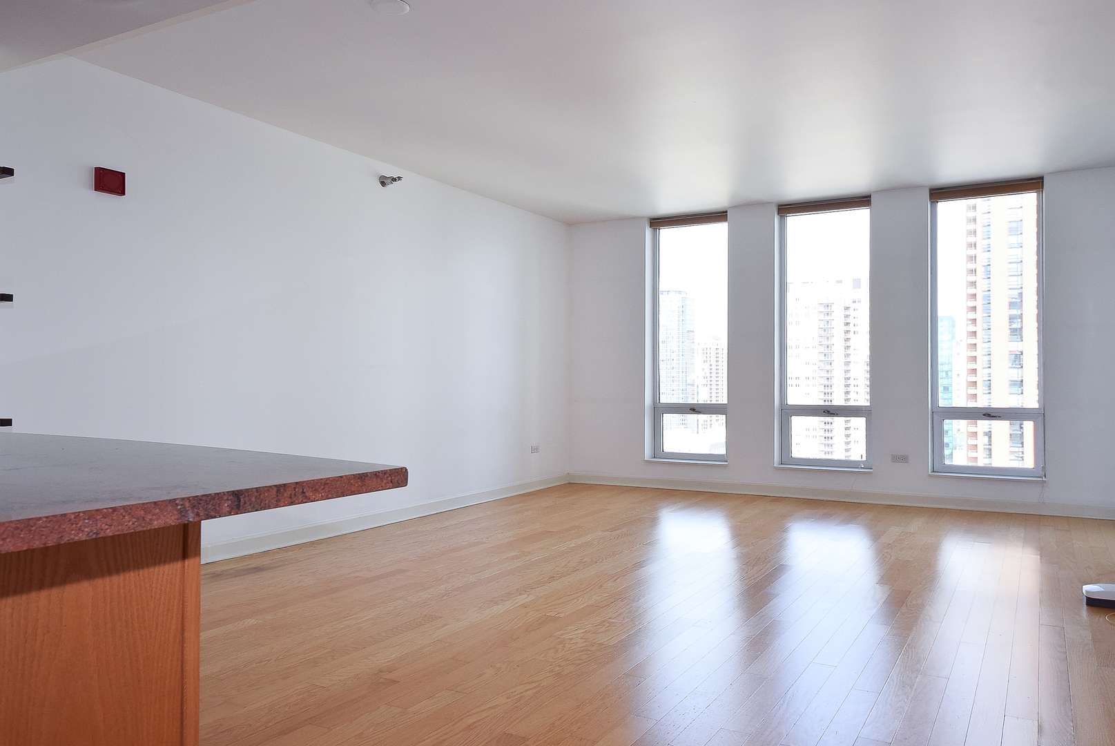 1250 S Michigan AVE #2205, Chicago, IL 60605