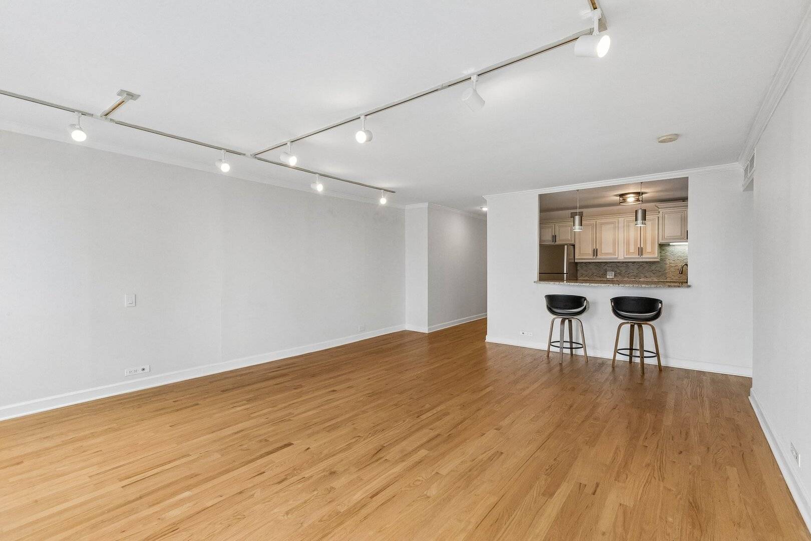 260 E CHESTNUT ST #2505, Chicago, IL 60611