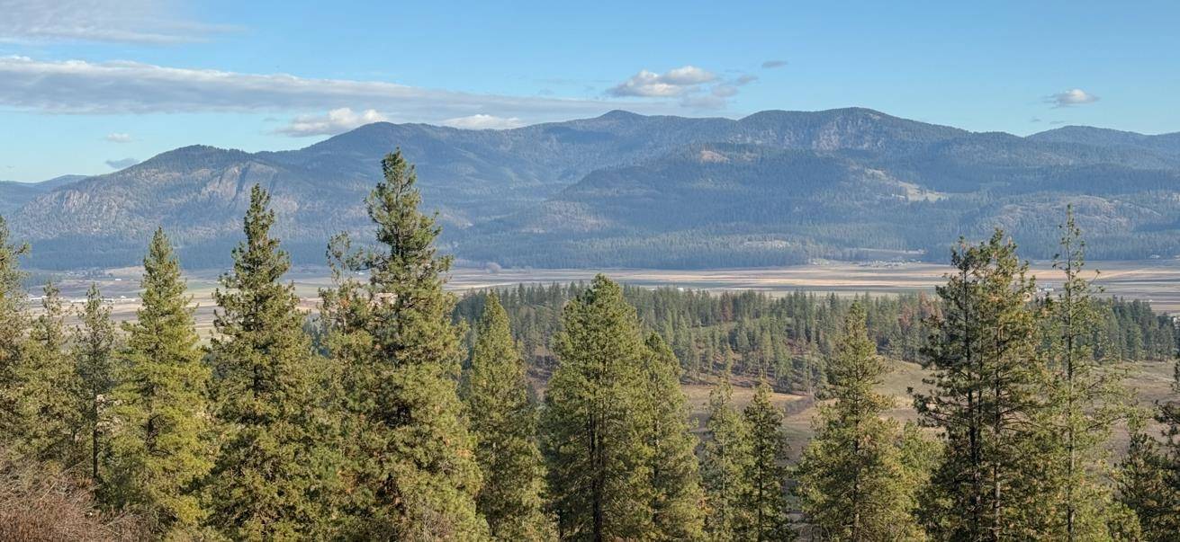 XXX Farm to Market Loop Rd, Chewelah, WA 99109