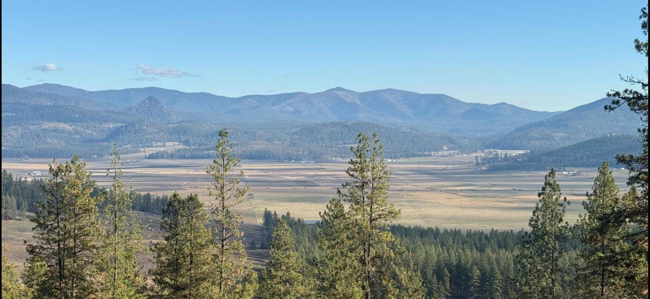 XXX Farm to Market Loop Rd, Chewelah, WA 99109