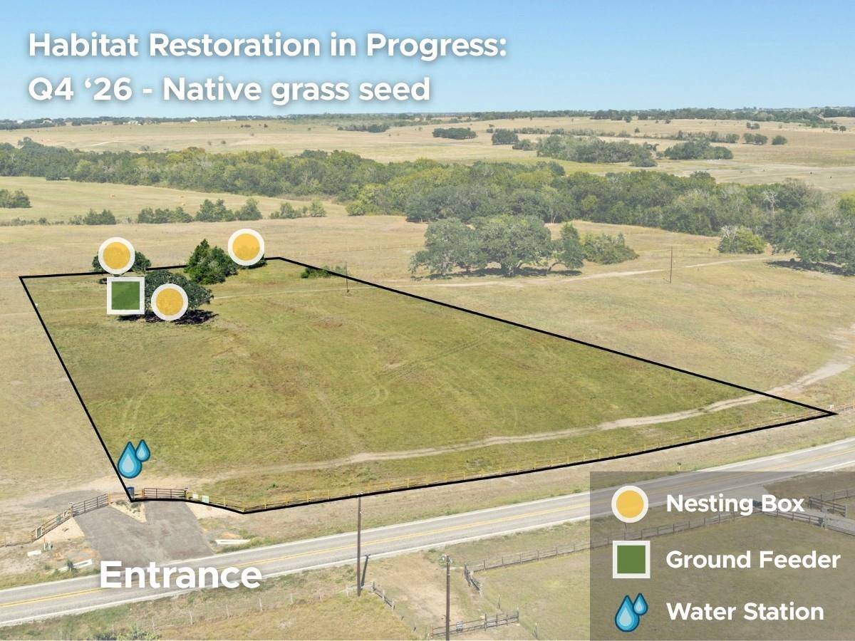2955 FM 956, Schulenburg, TX 78956