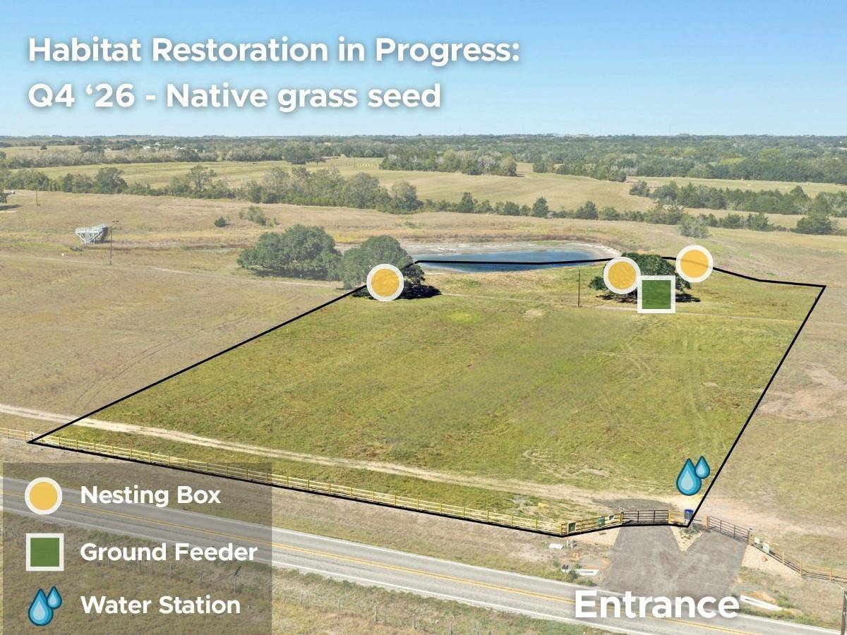 2961 FM 956, Schulenburg, TX 78956