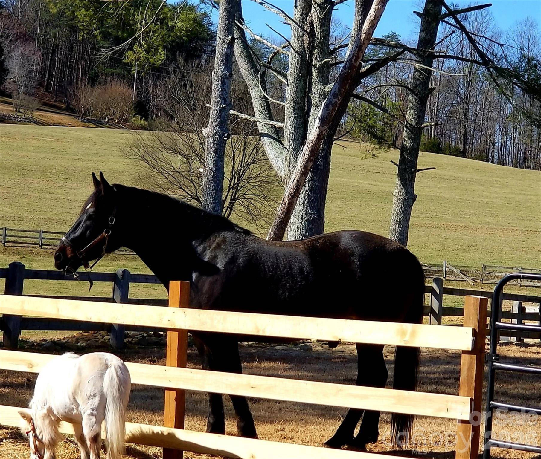 203 Victory Pass LN, Rutherfordton, NC 28139