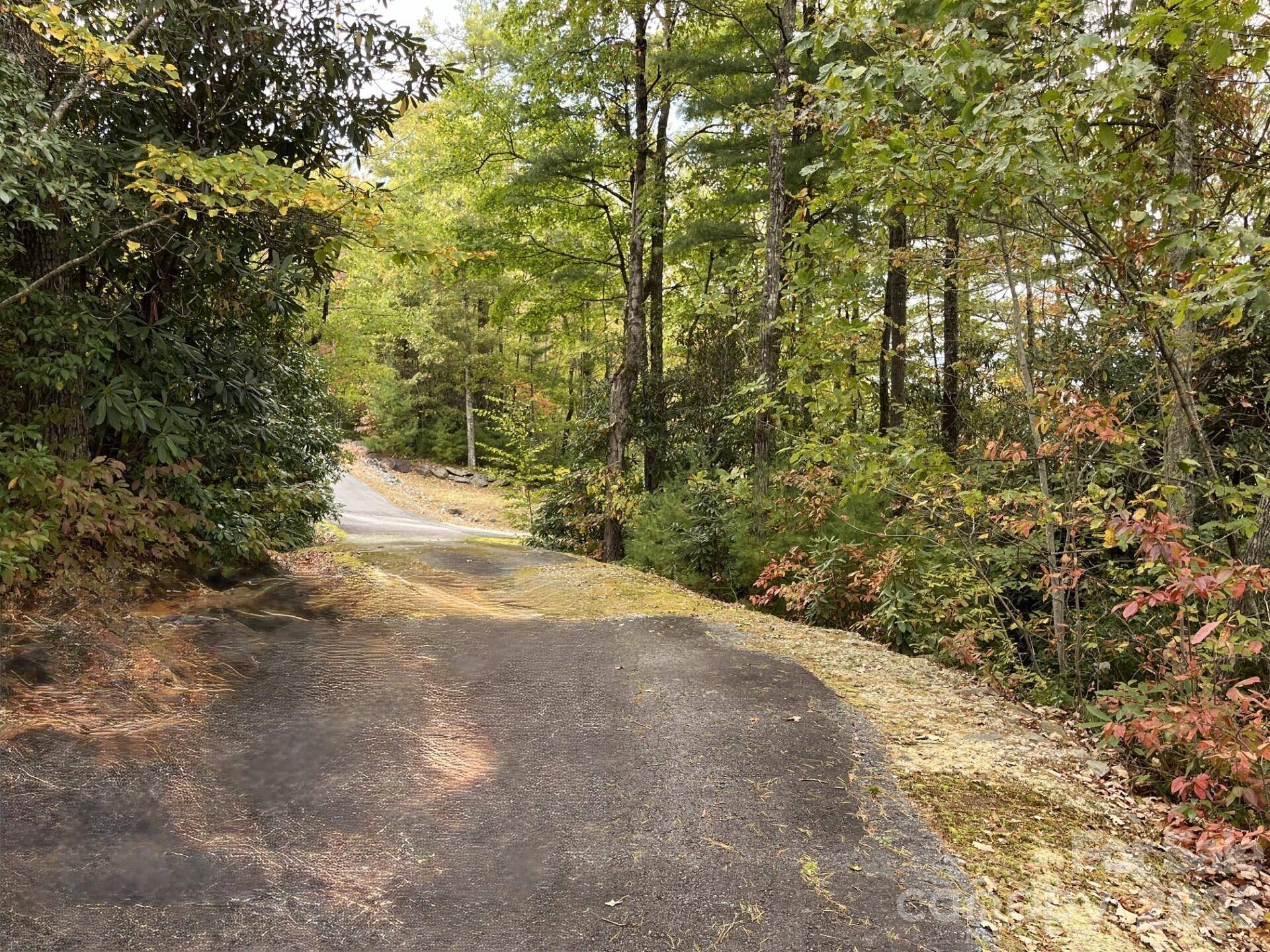 31 Tomba WAY, Cashiers, NC 28717