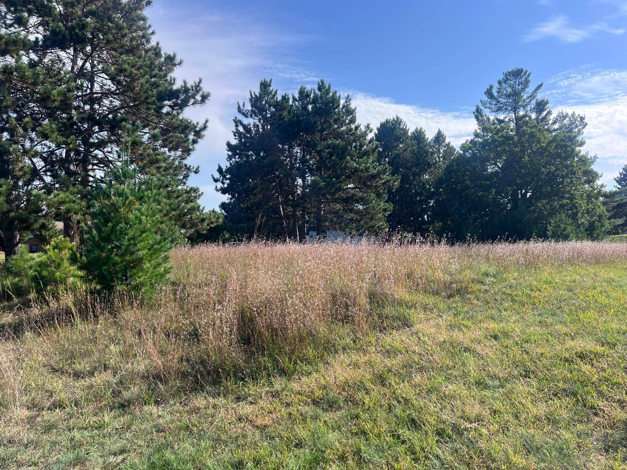 Lot 38 Meadow Green RD, Danbury, WI 54830
