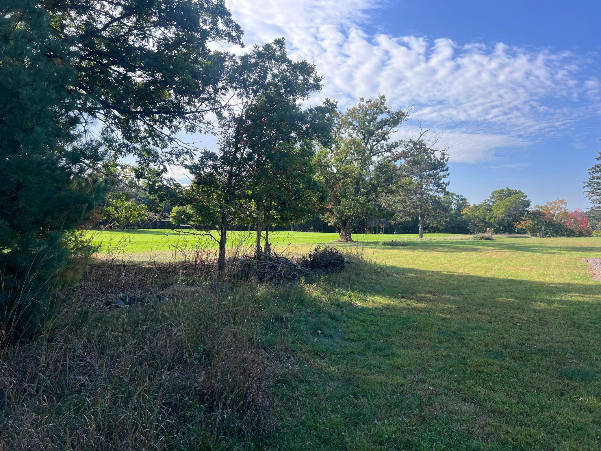 Lot 38 Meadow Green RD, Danbury, WI 54830
