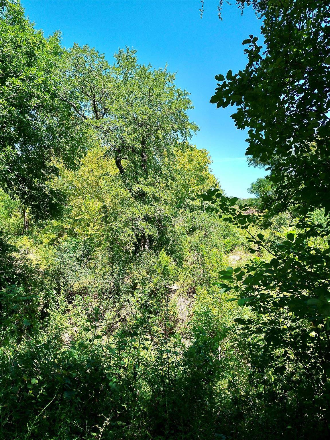 204 Serenity DR, Liberty Hill, TX 78642