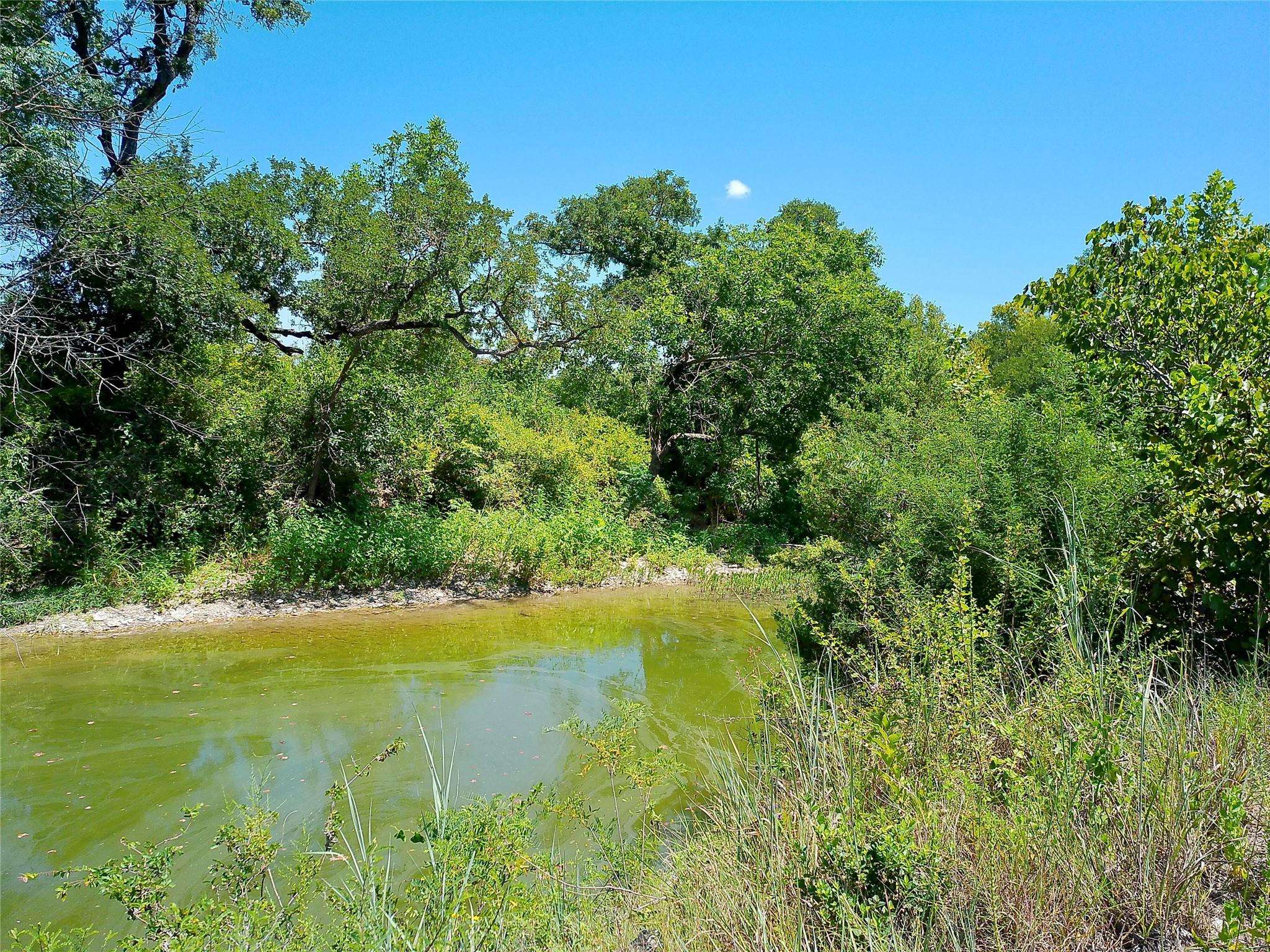 204 Serenity DR, Liberty Hill, TX 78642