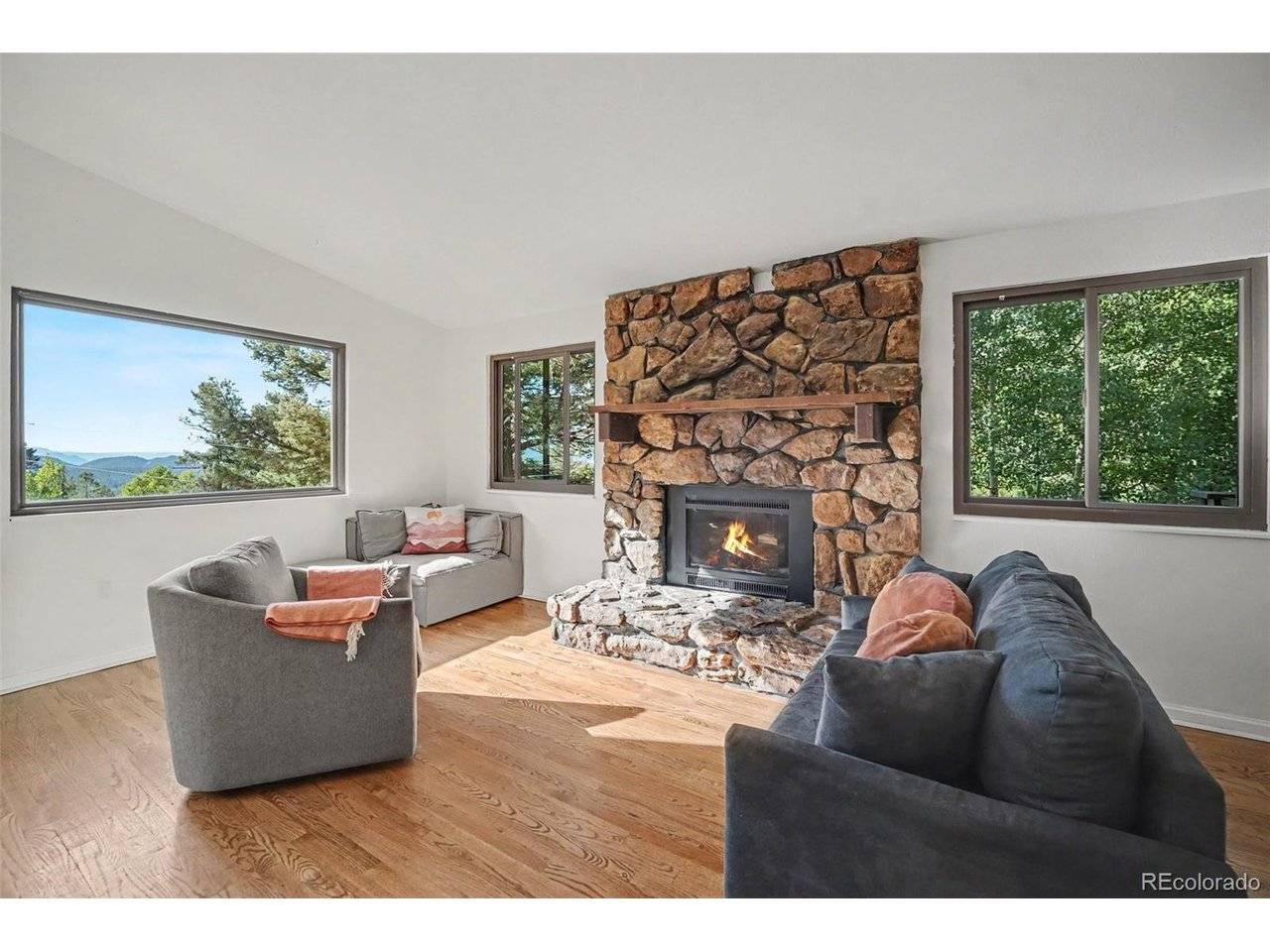 31478 Kings Valley, Conifer, CO 80433