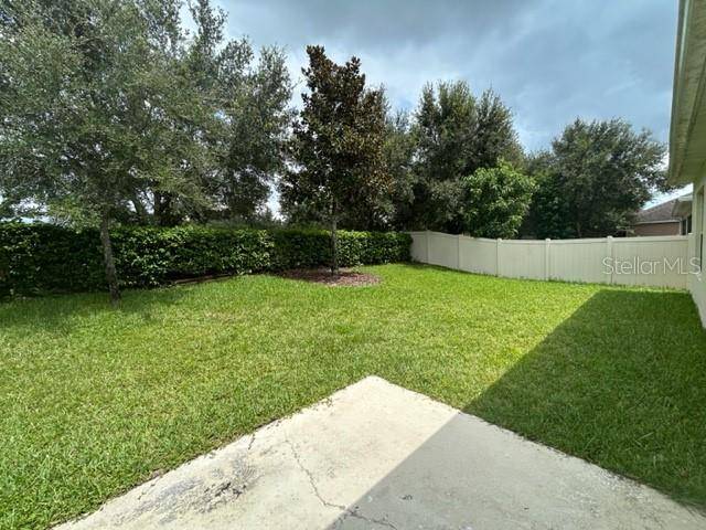 913 BERRY LEAF CT, Apopka, FL 32703