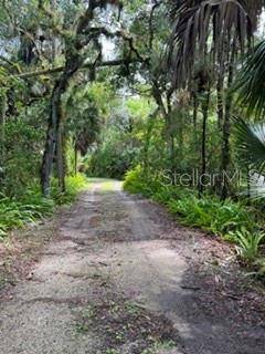 2310 SALT CREEK TRL, Oviedo, FL 32765