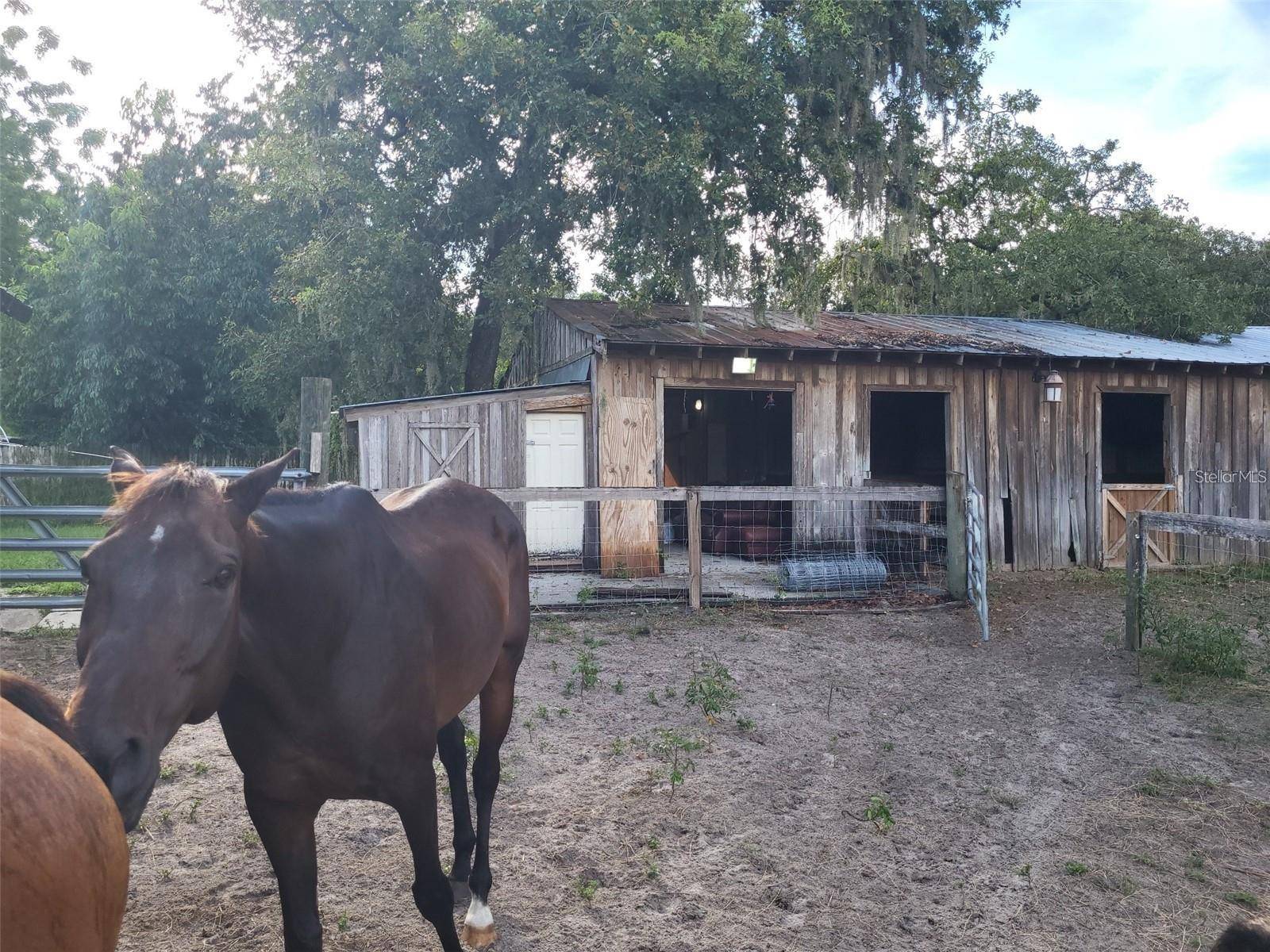 11115B PINTO DR, Hudson, FL 34669