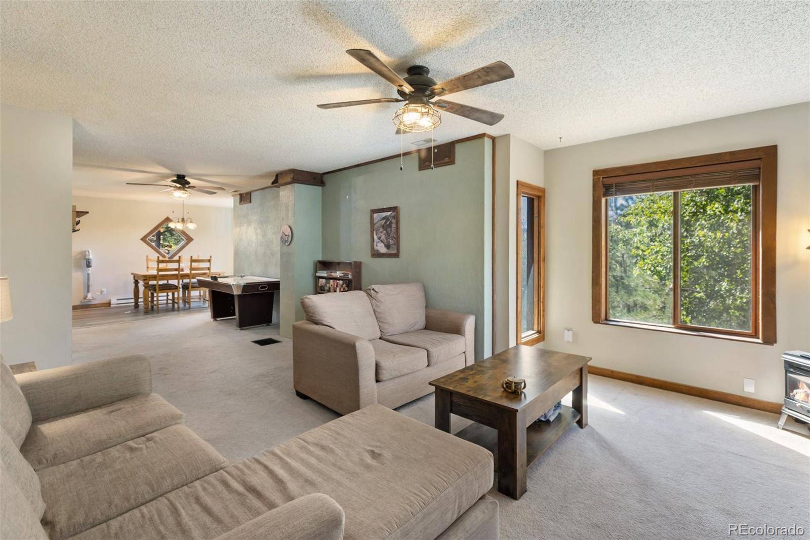 208 Illini DR, Woodland Park, CO 80863
