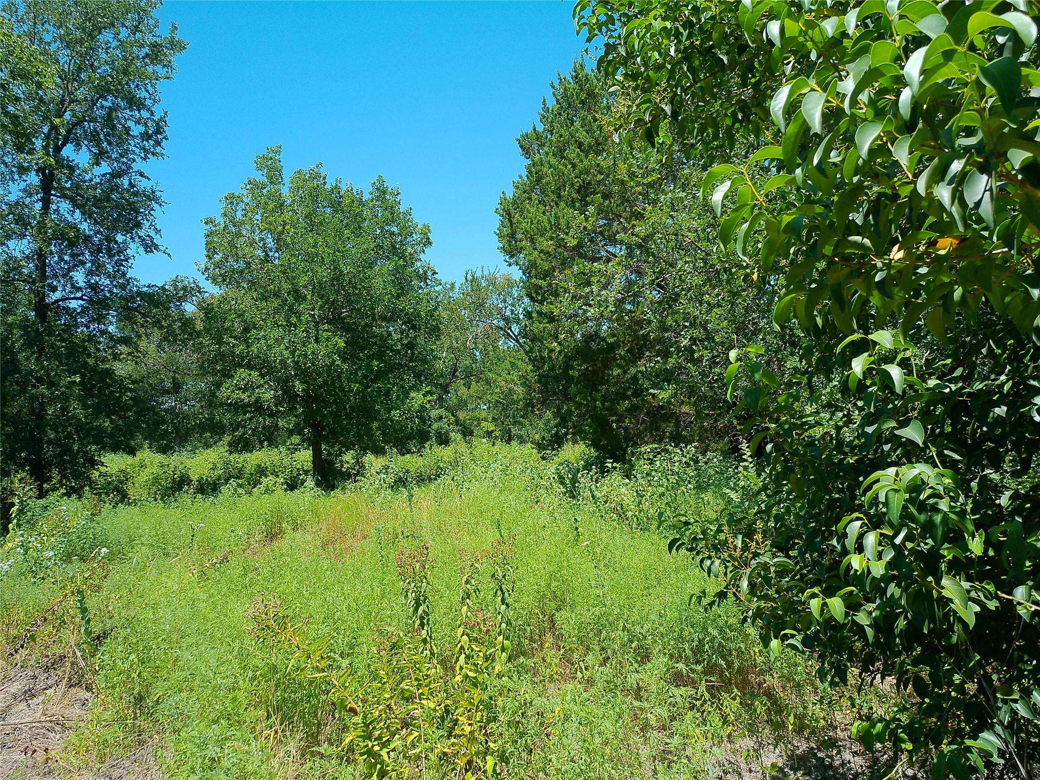 212 Serenity DR, Liberty Hill, TX 78642