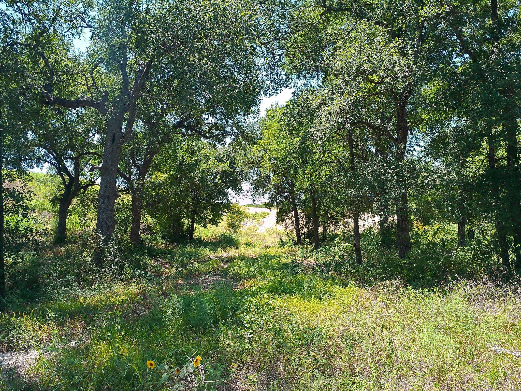 212 Serenity DR, Liberty Hill, TX 78642