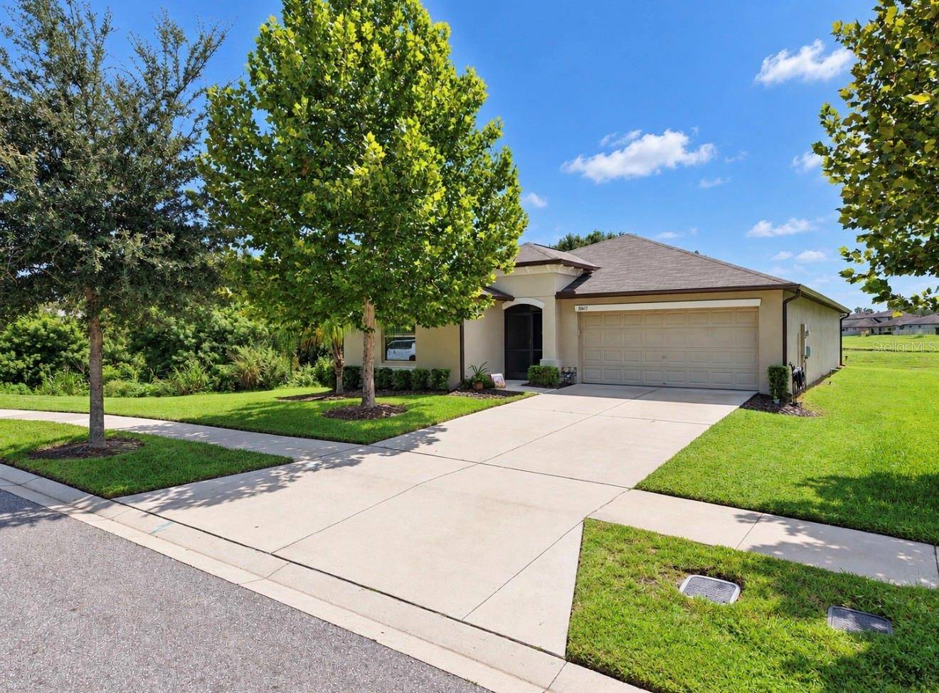 10017 CARAWAY SPICE AVE, Riverview, FL 33578