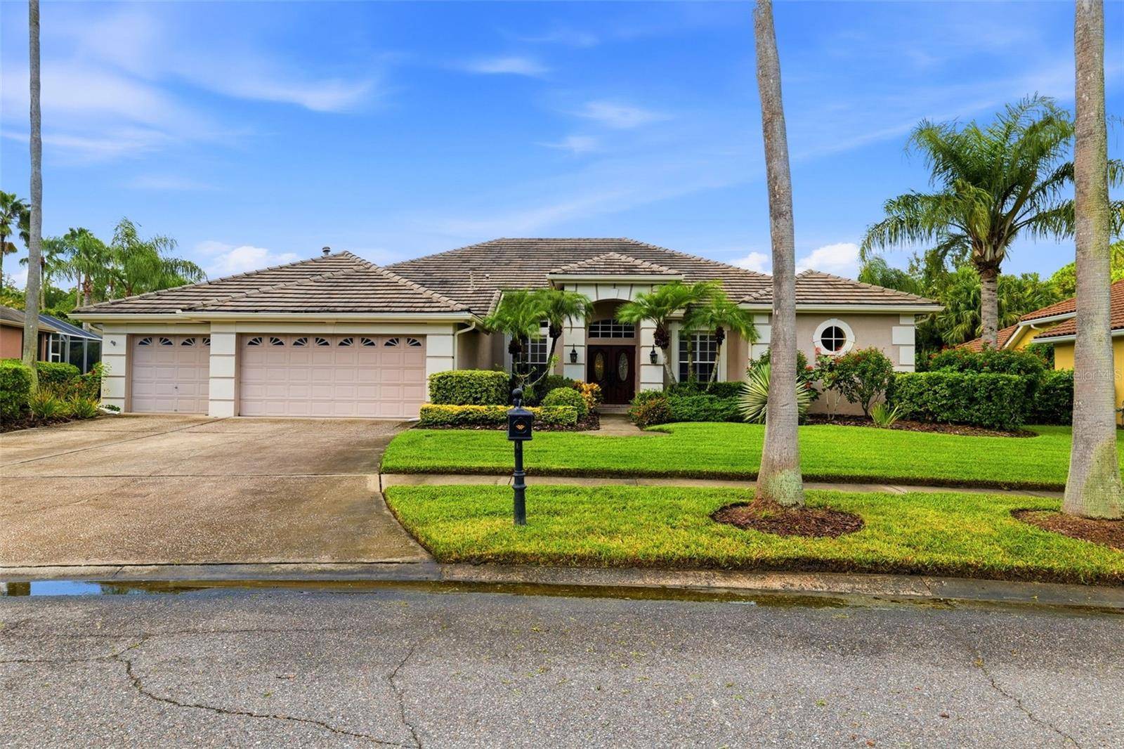 12012 BREWSTER DR, Tampa, FL 33626