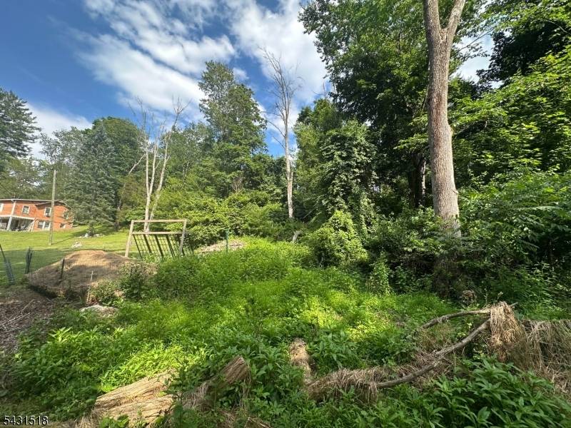 1 Ash Ln, Liberty Twp., NJ 07823