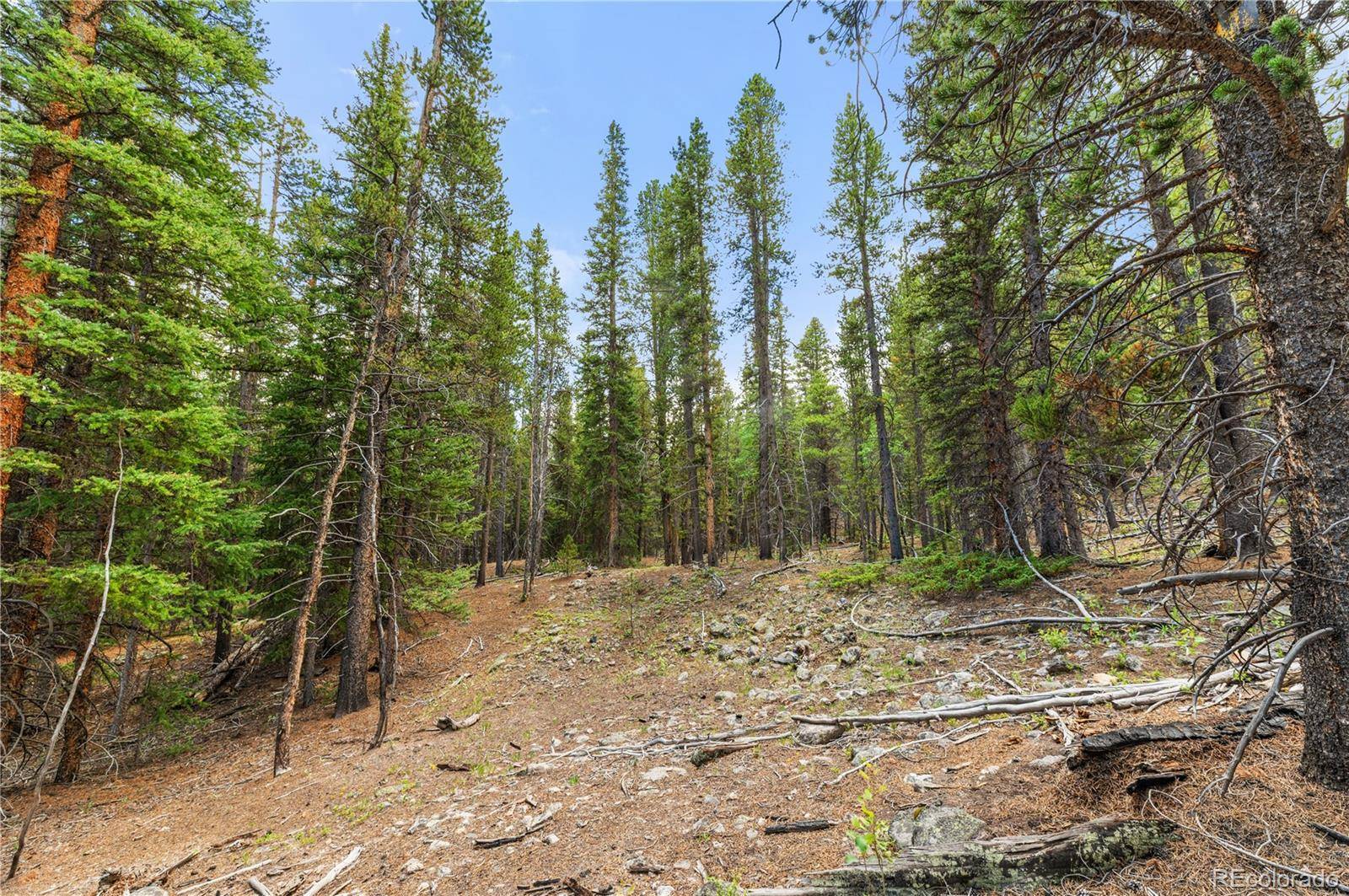 Lot 1 Venture RD, Fairplay, CO 80440