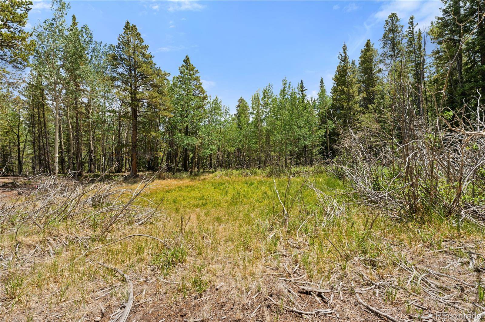 Lot 1 Venture RD, Fairplay, CO 80440