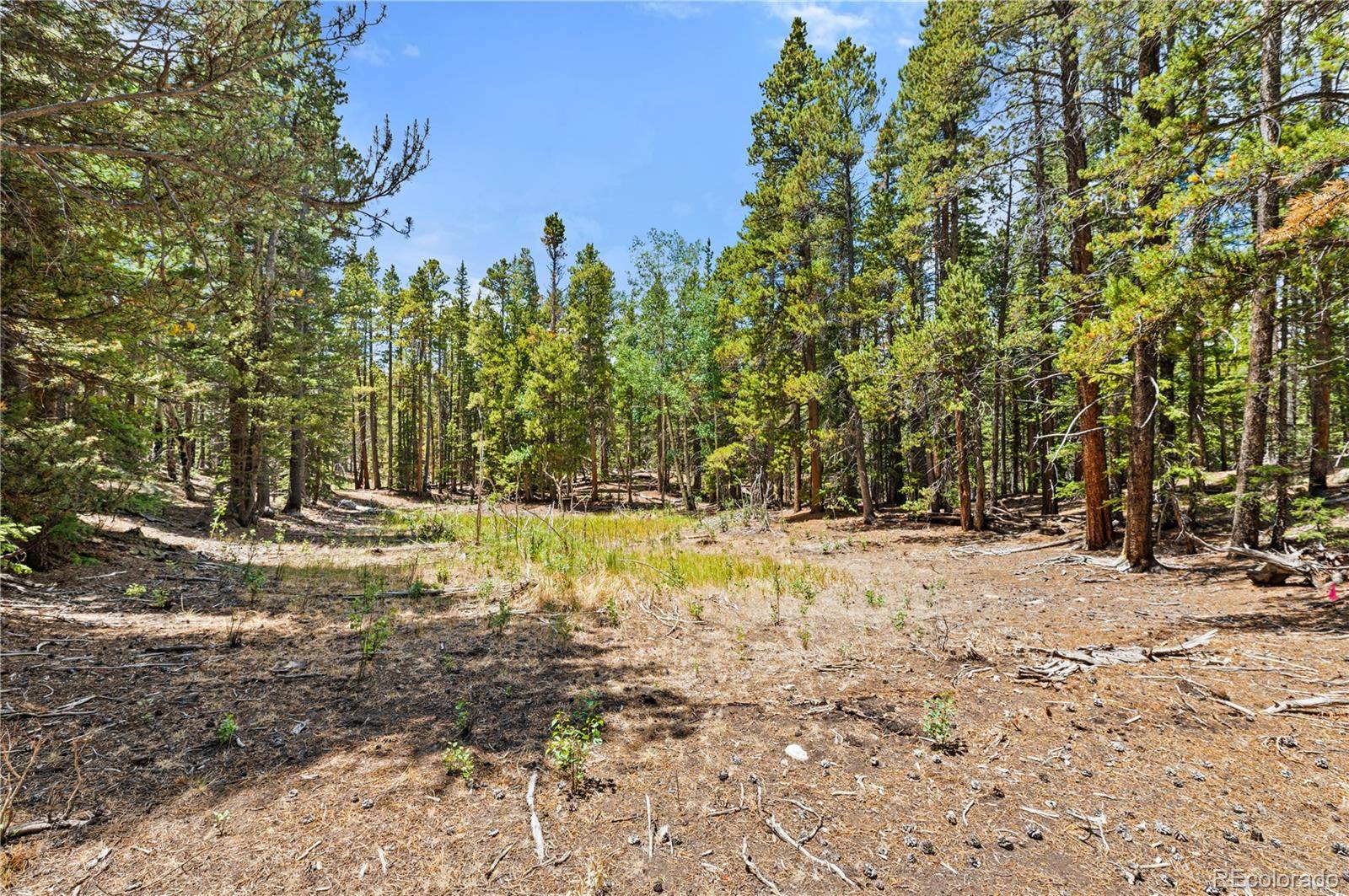 Lot 1 Venture RD, Fairplay, CO 80440