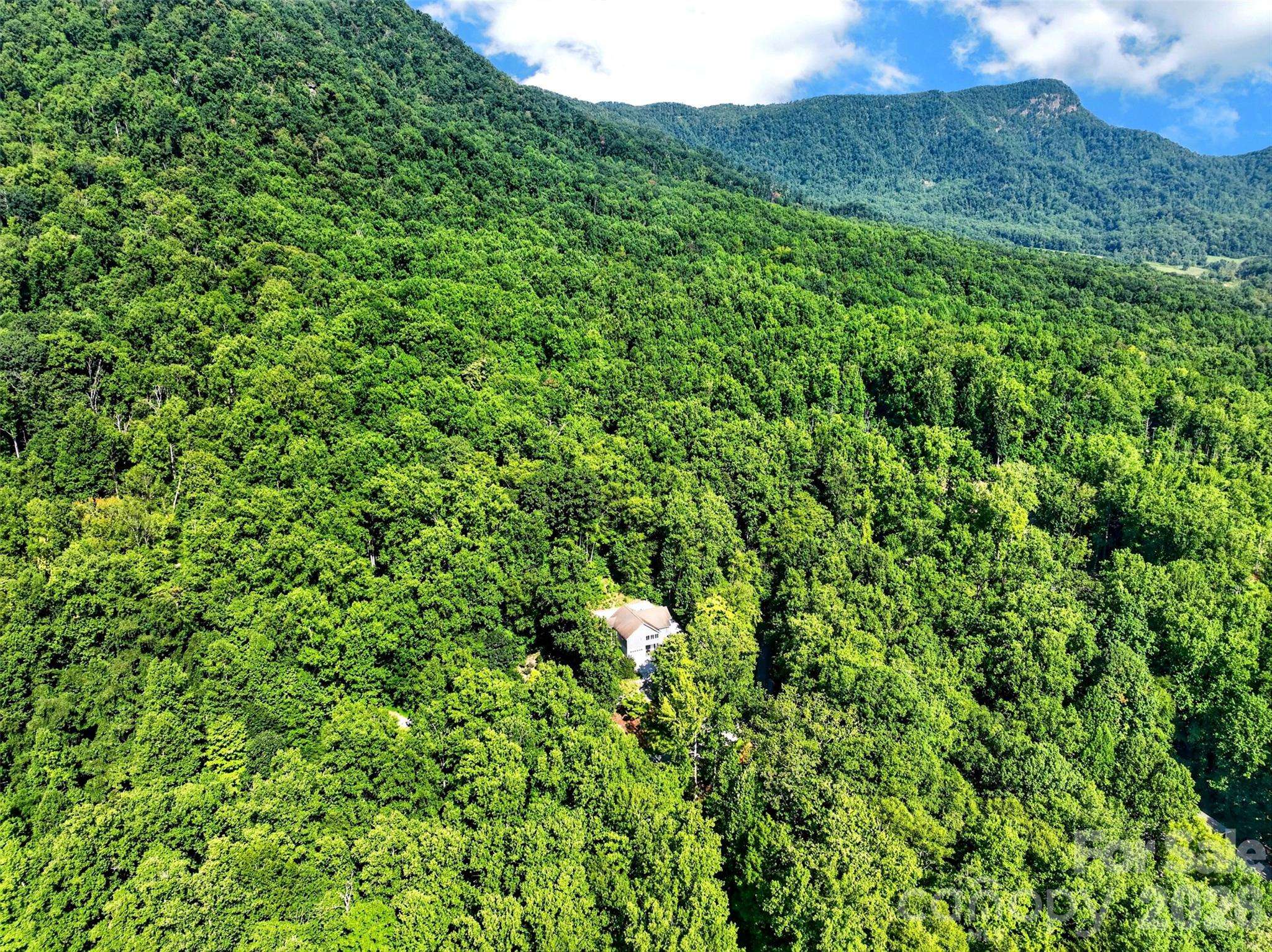 767 Hunnicut Mountain RD, Marion, NC 28752