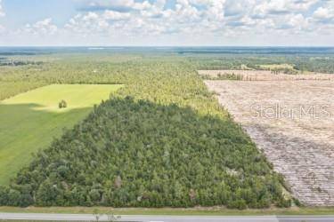 CR 53, Lee, FL 32059