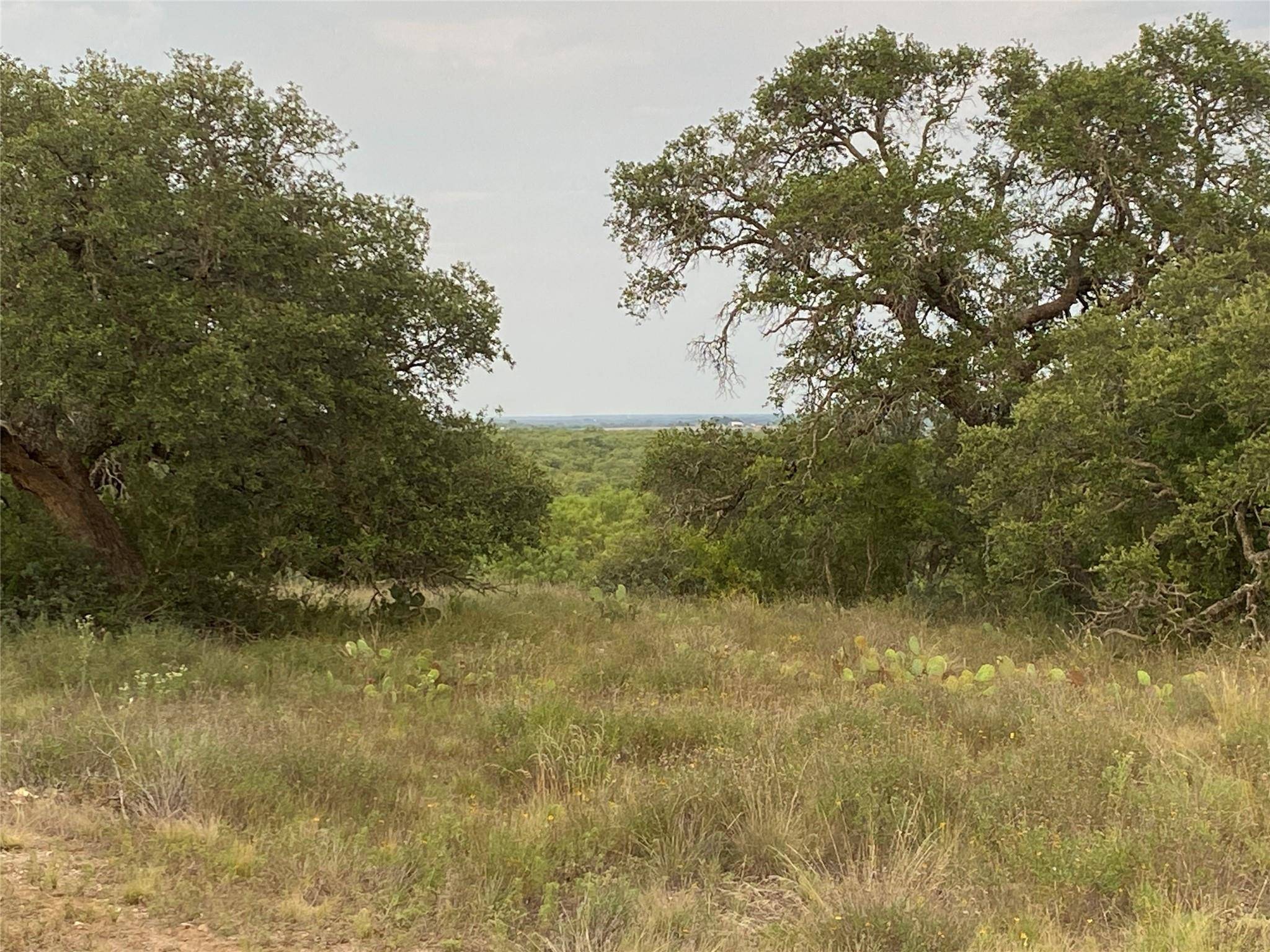 TBD CR 296, Richland Springs, TX 76871