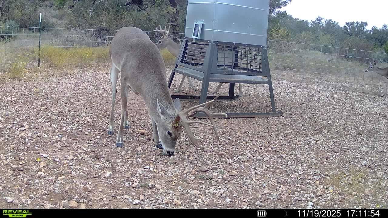 TBD CR 296, Richland Springs, TX 76871