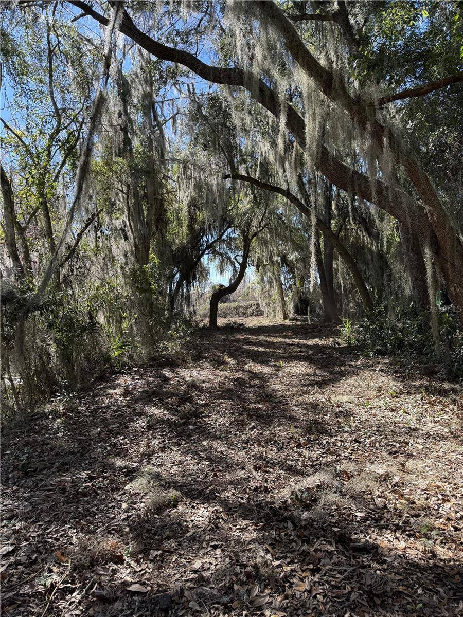 OCKLAWAHA DR, Leesburg, FL 34788