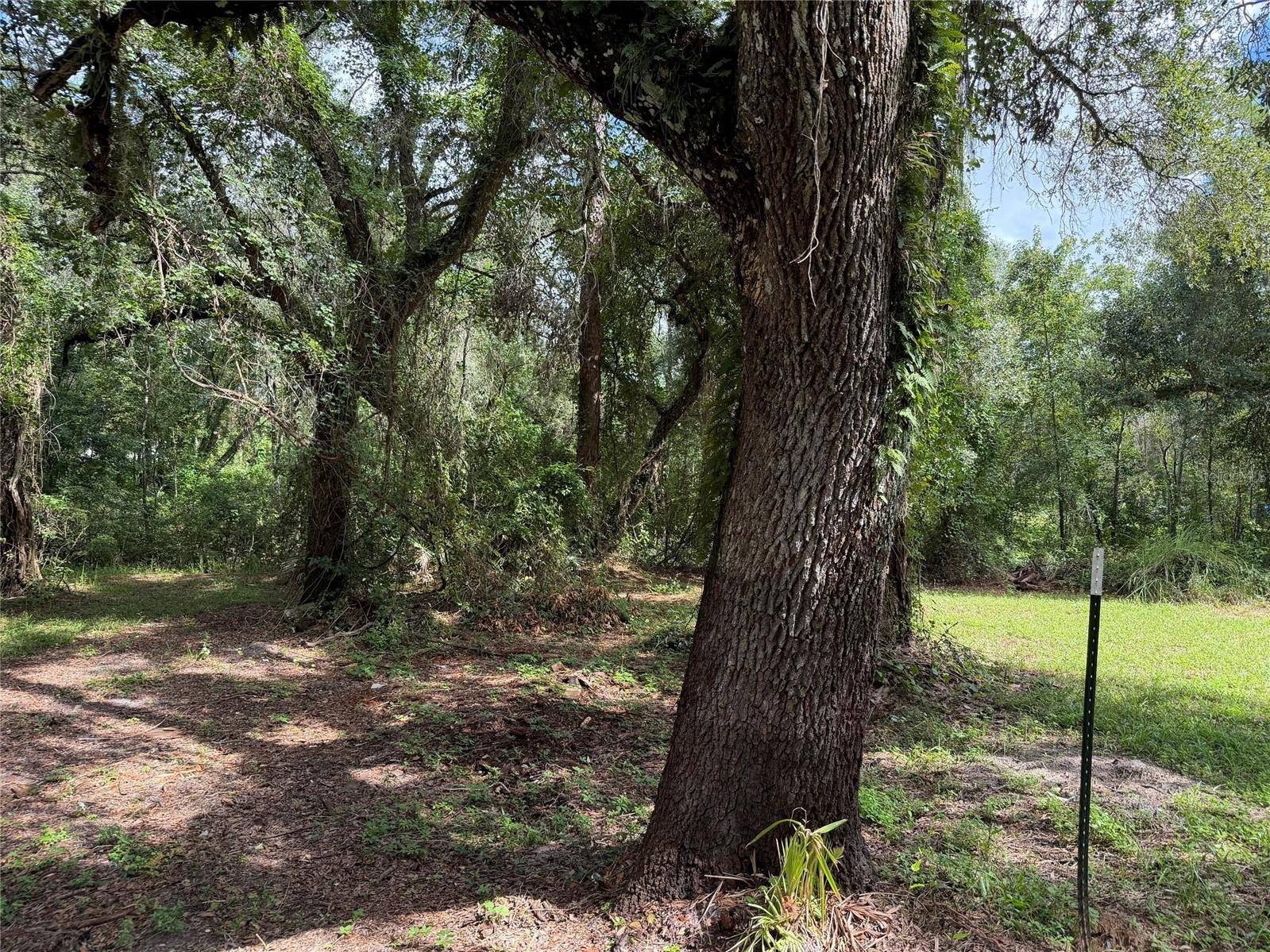 3254 BARTH RD, Dade City, FL 33523