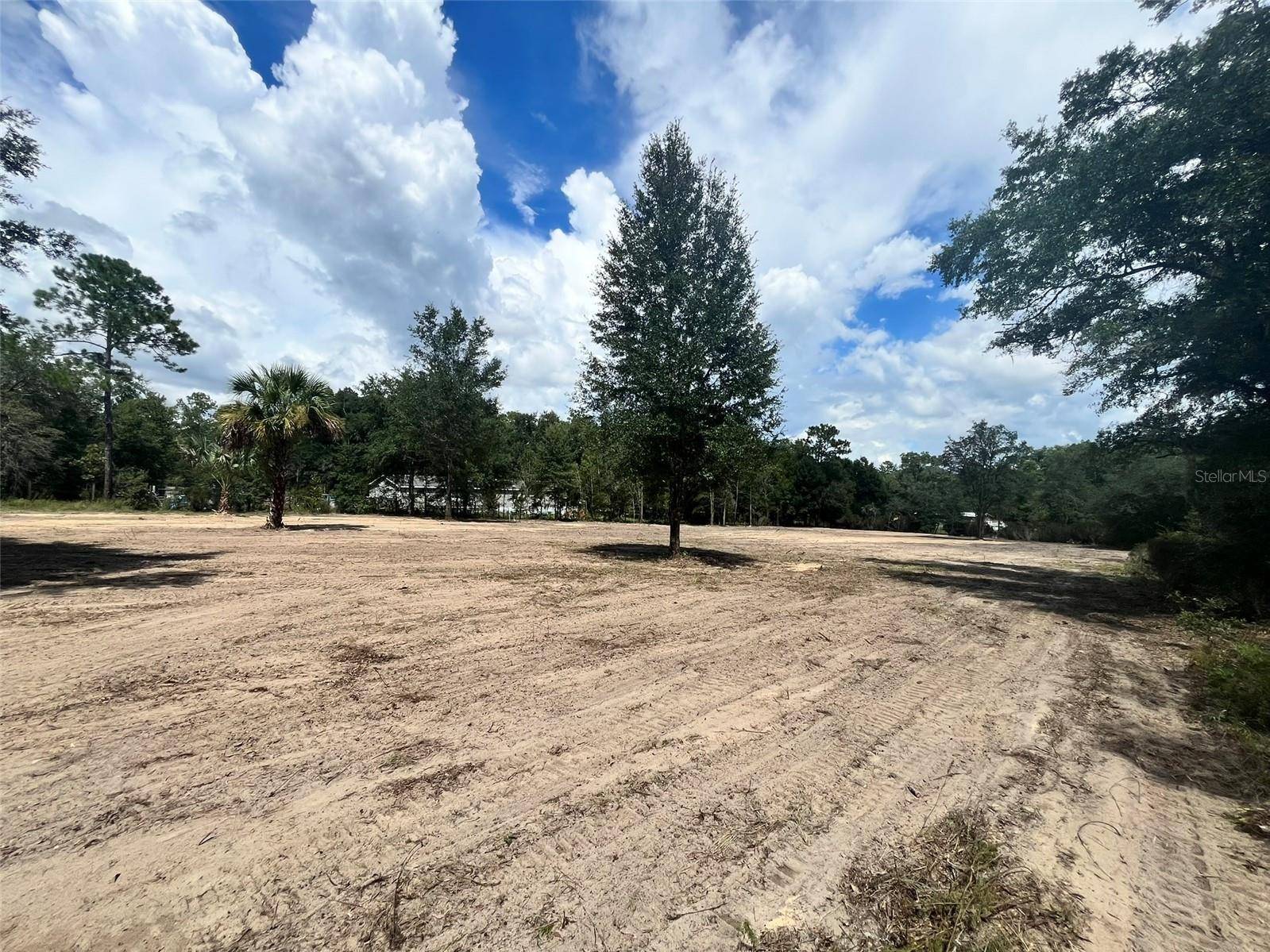 7731 NE 97TH CT, Bronson, FL 32621