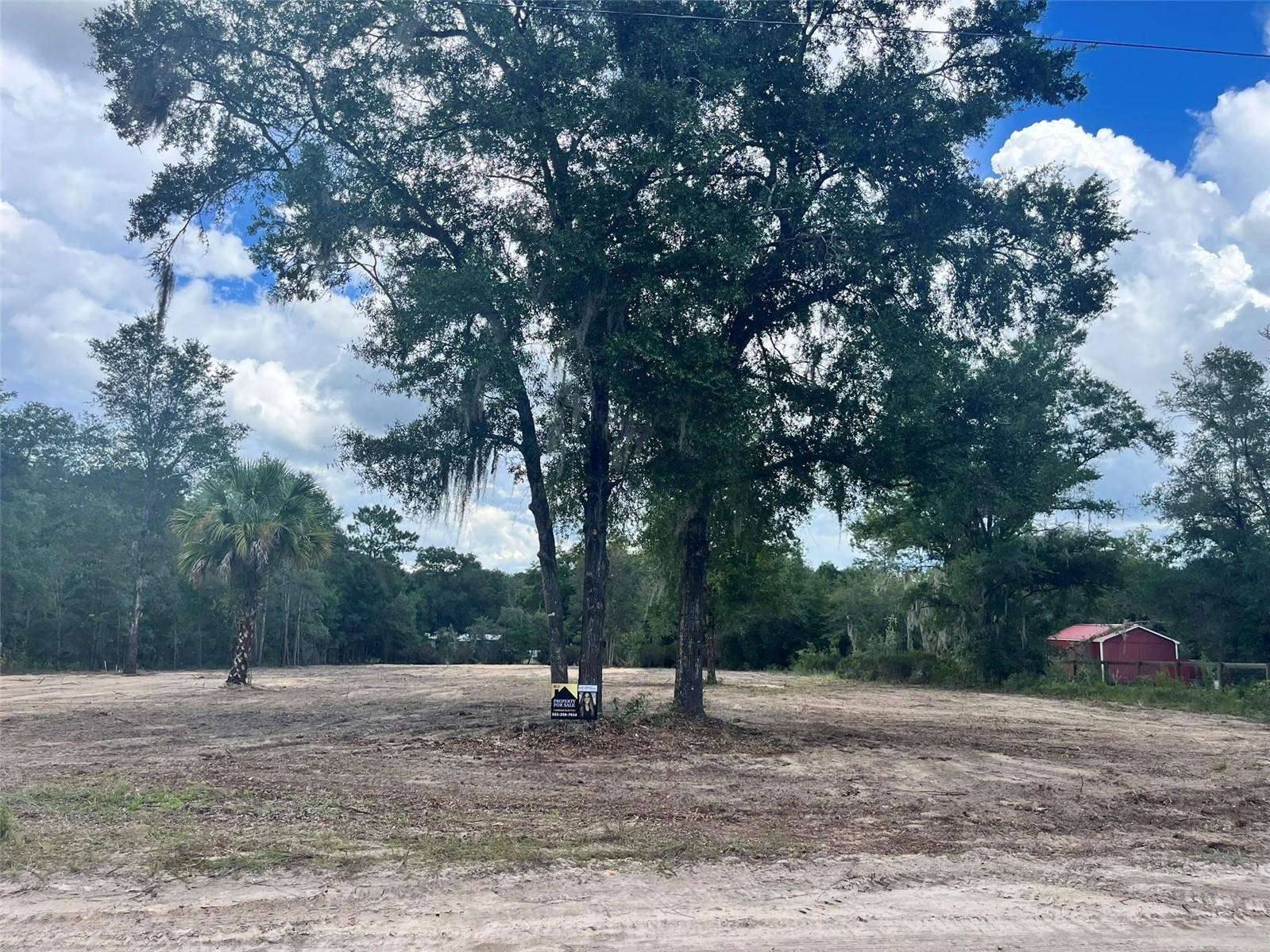 7731 NE 97TH CT, Bronson, FL 32621