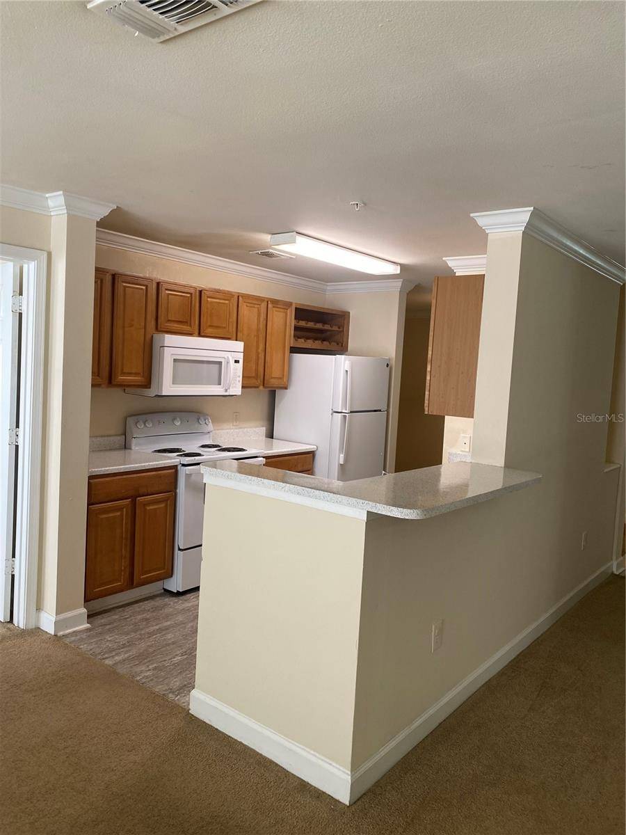 18209 BRIDLE CLUB DR #18209, Tampa, FL 33647
