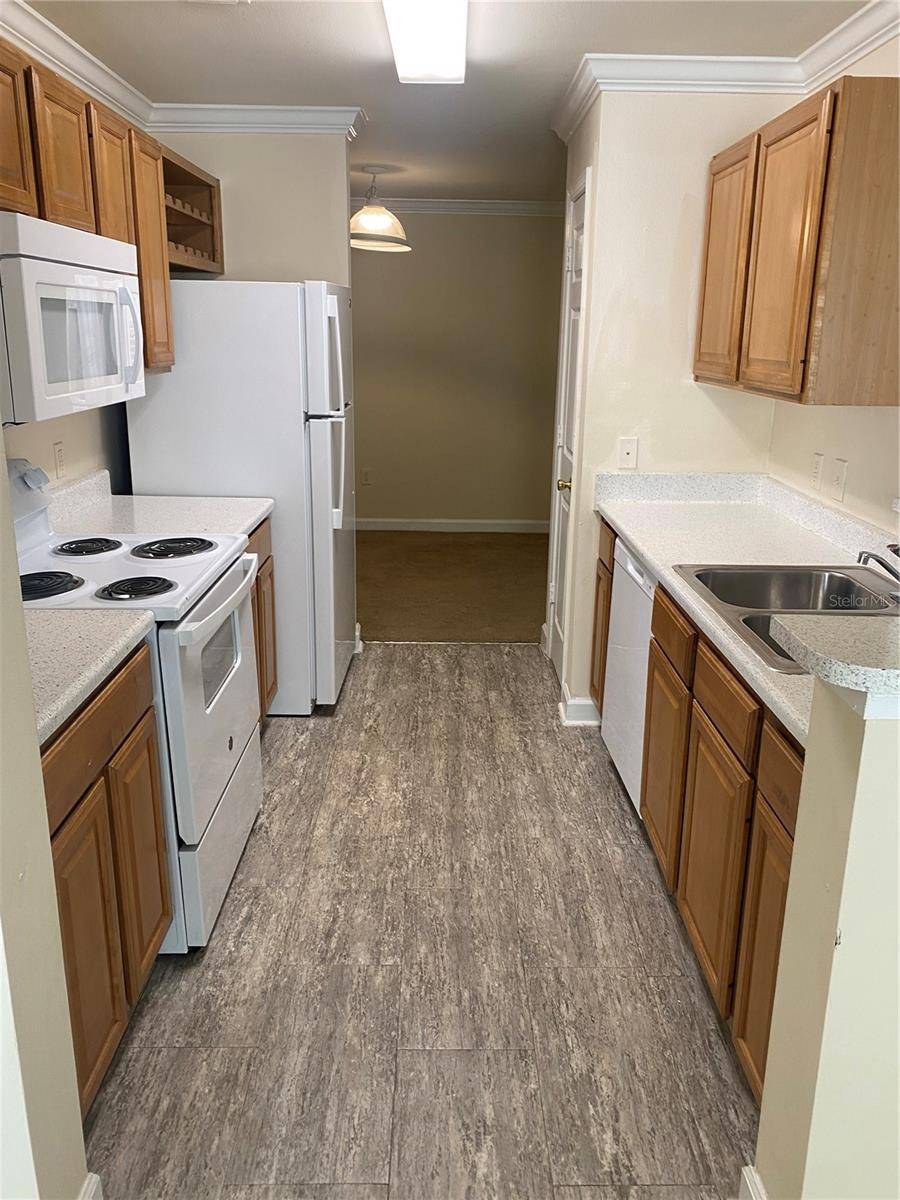 18209 BRIDLE CLUB DR #18209, Tampa, FL 33647