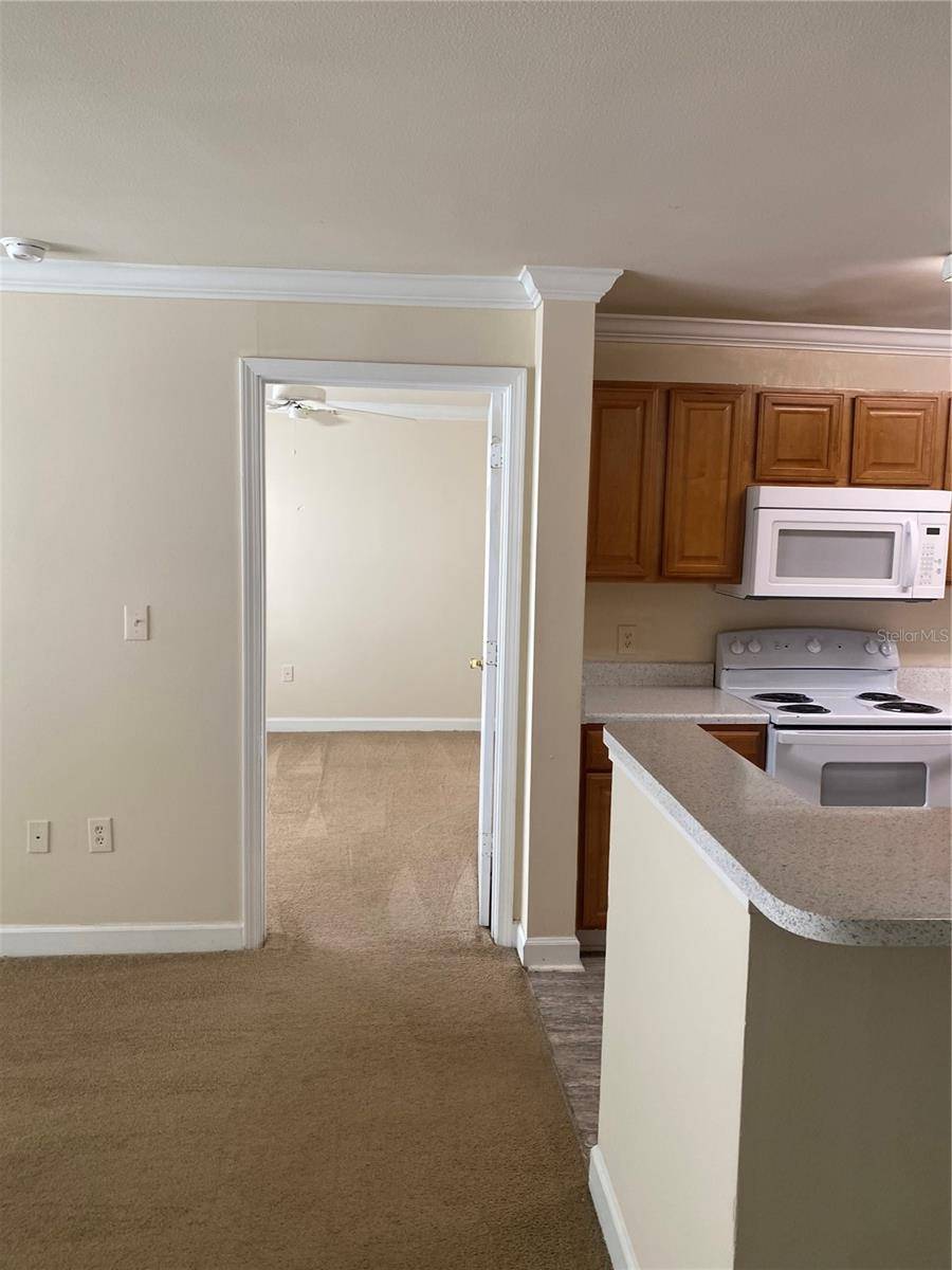 18209 BRIDLE CLUB DR #18209, Tampa, FL 33647