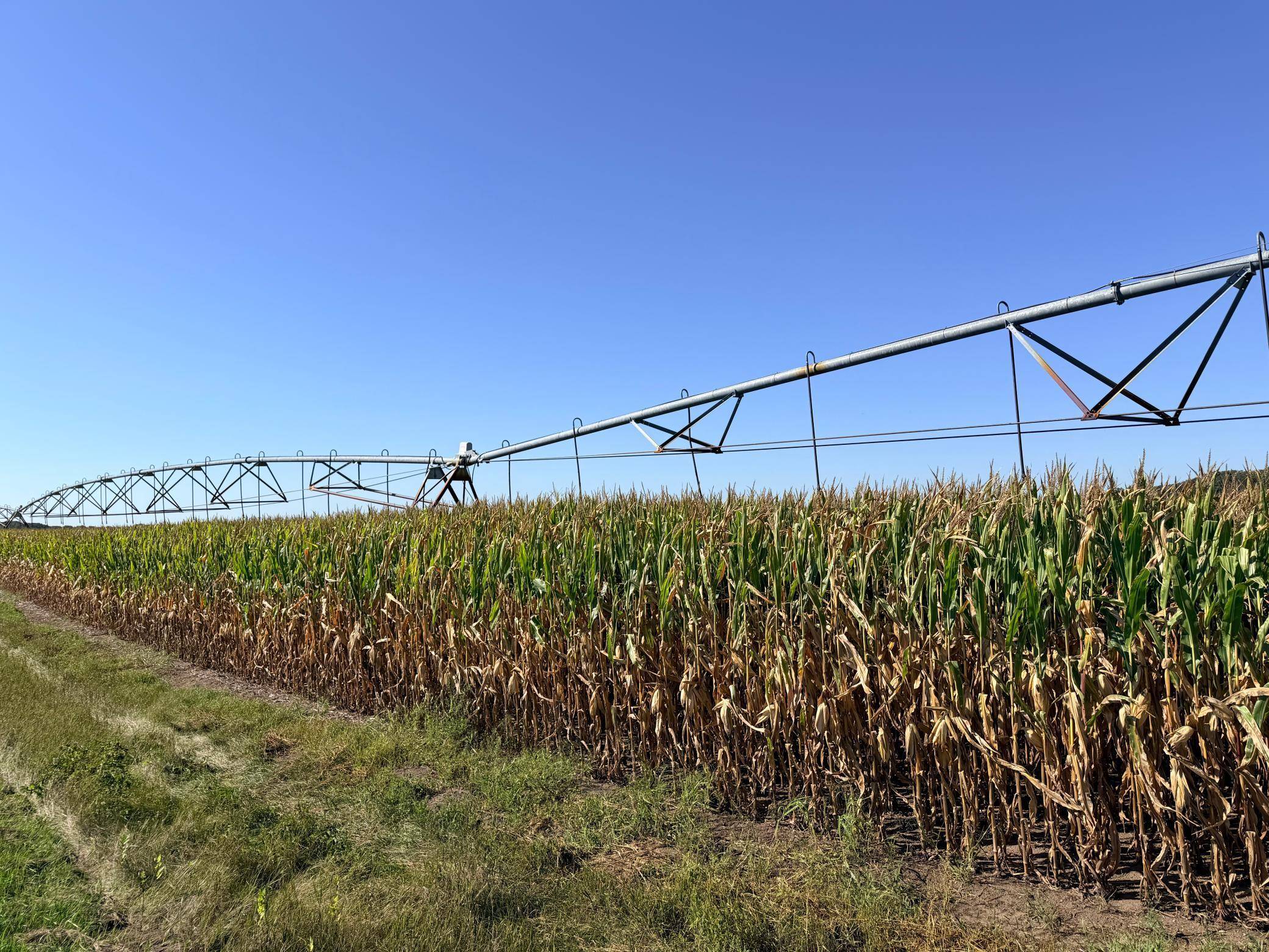 TBD County 61, Browerville, MN 56438