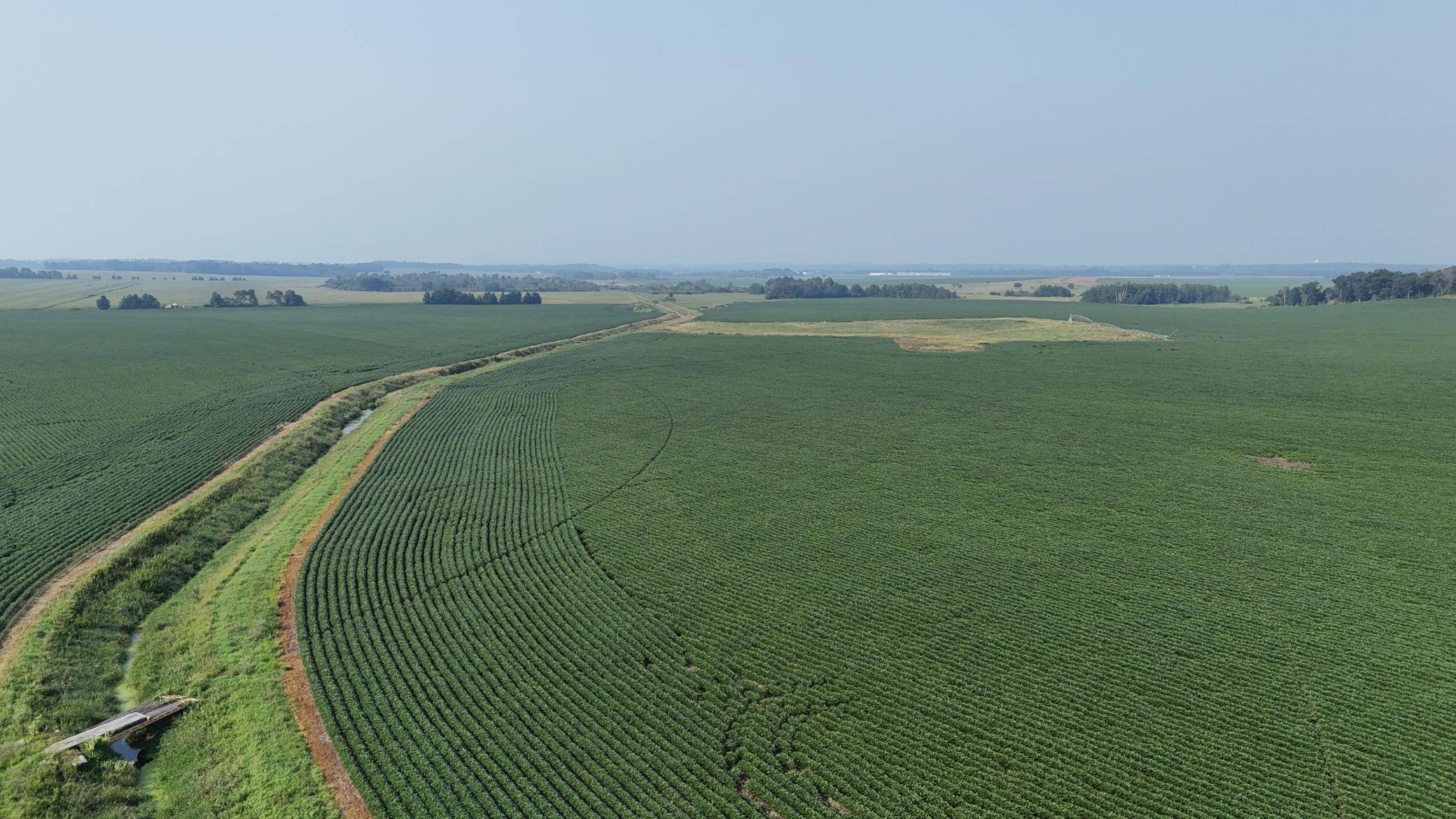 TBD County 61, Browerville, MN 56438