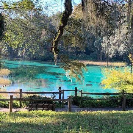 SW 191ST AVE, Dunnellon, FL 34432